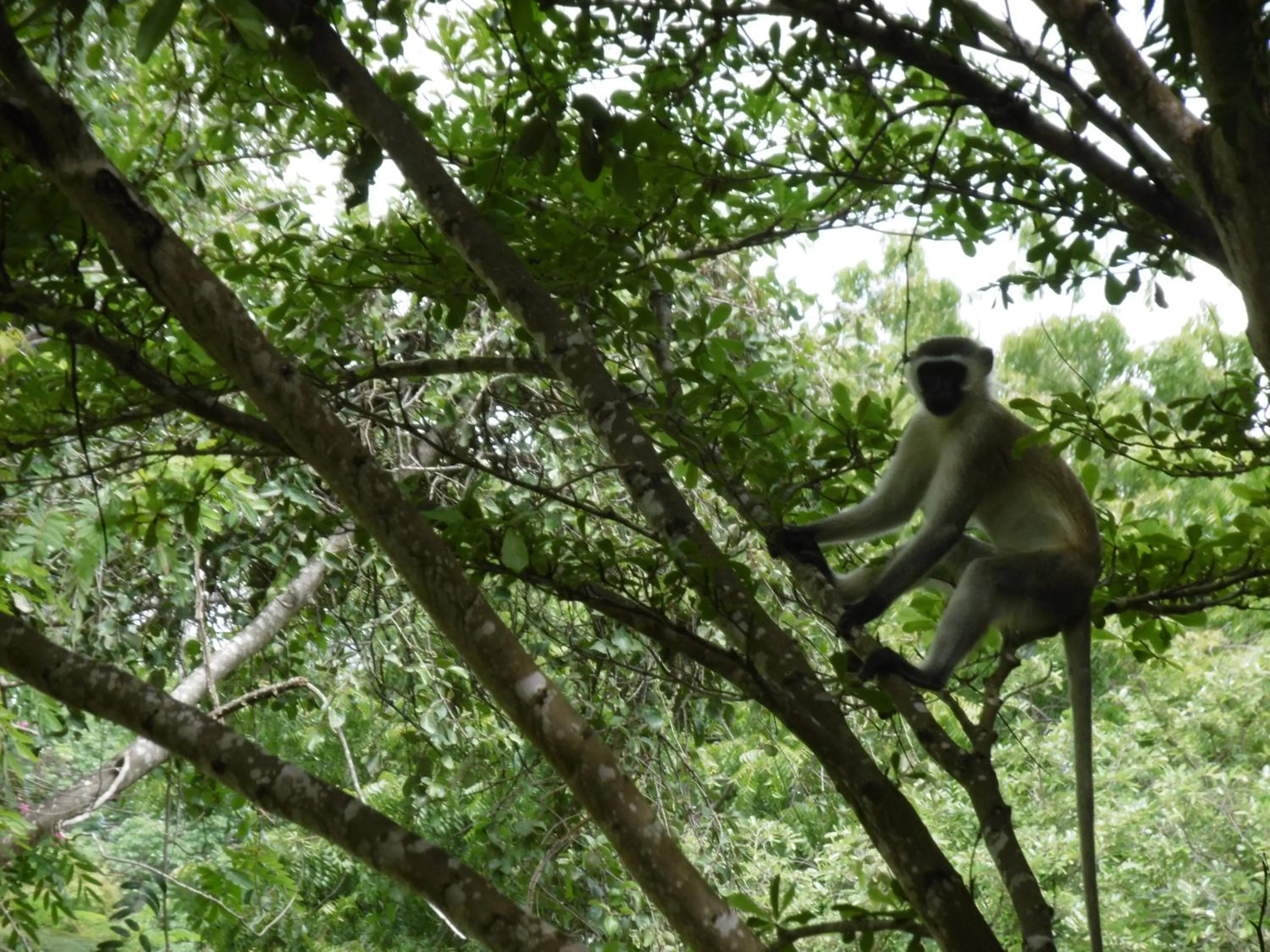 Garden in Residence Maison Müge