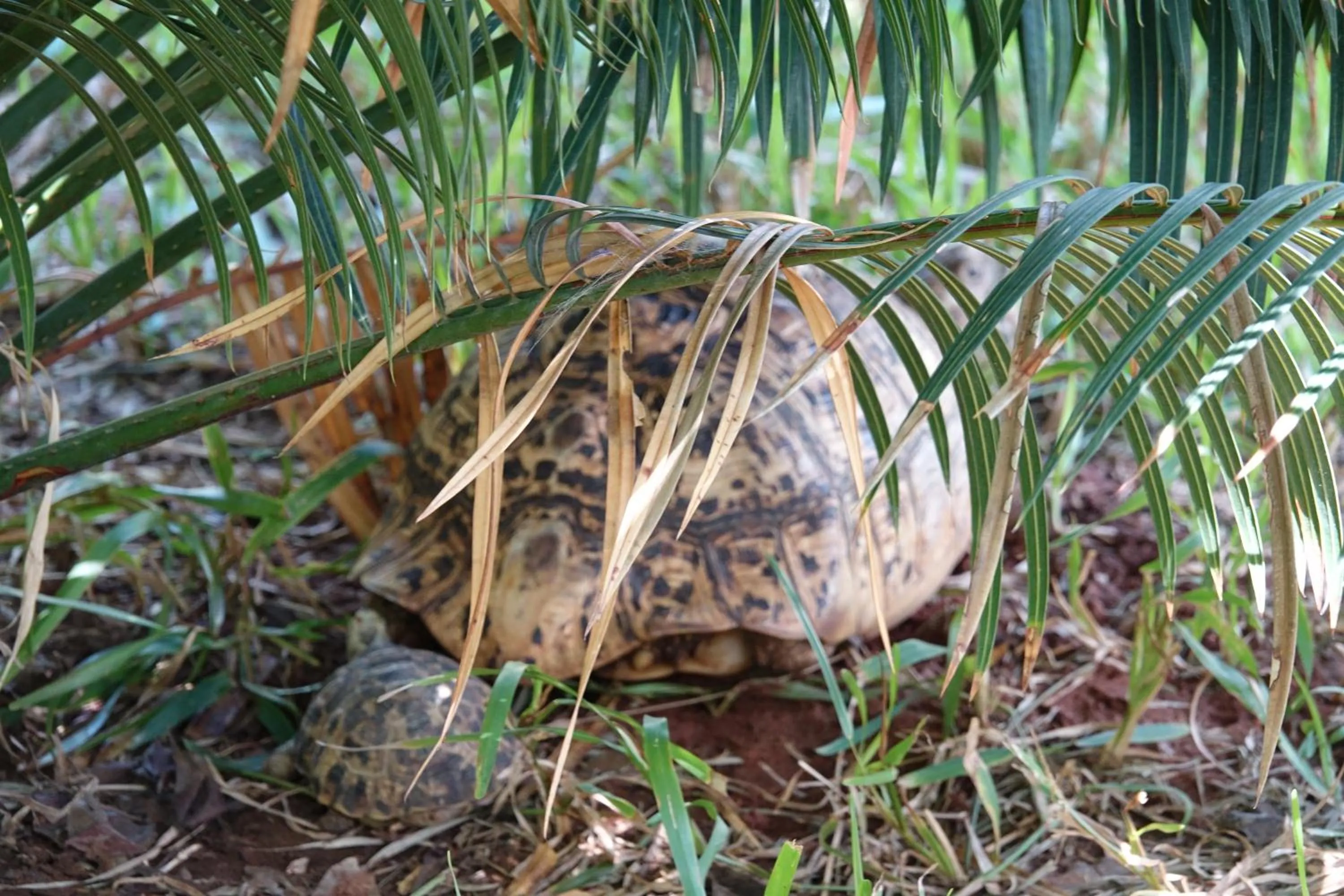 Garden in Residence Maison Müge