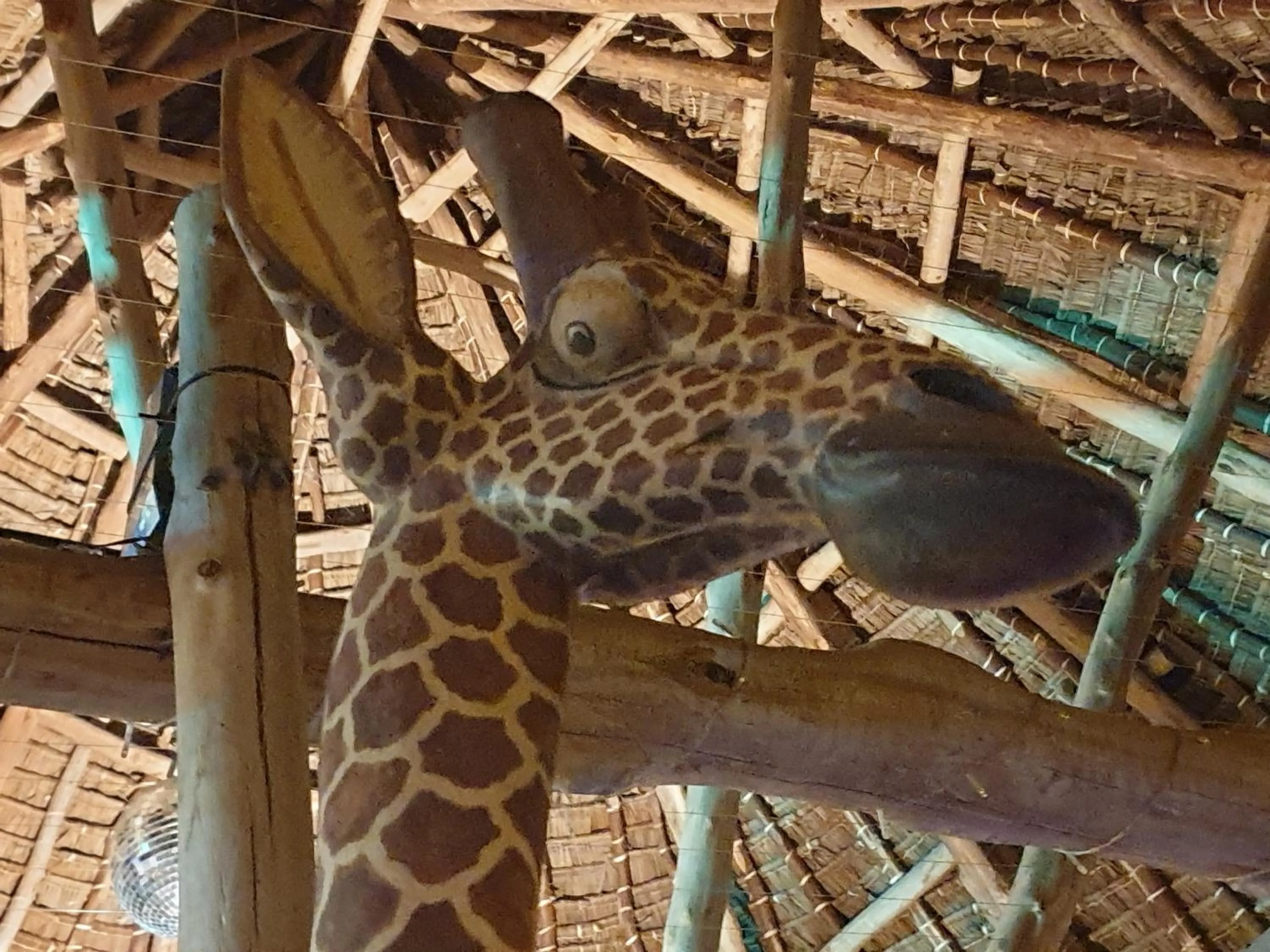 Restaurant/places to eat in Residence Maison Müge