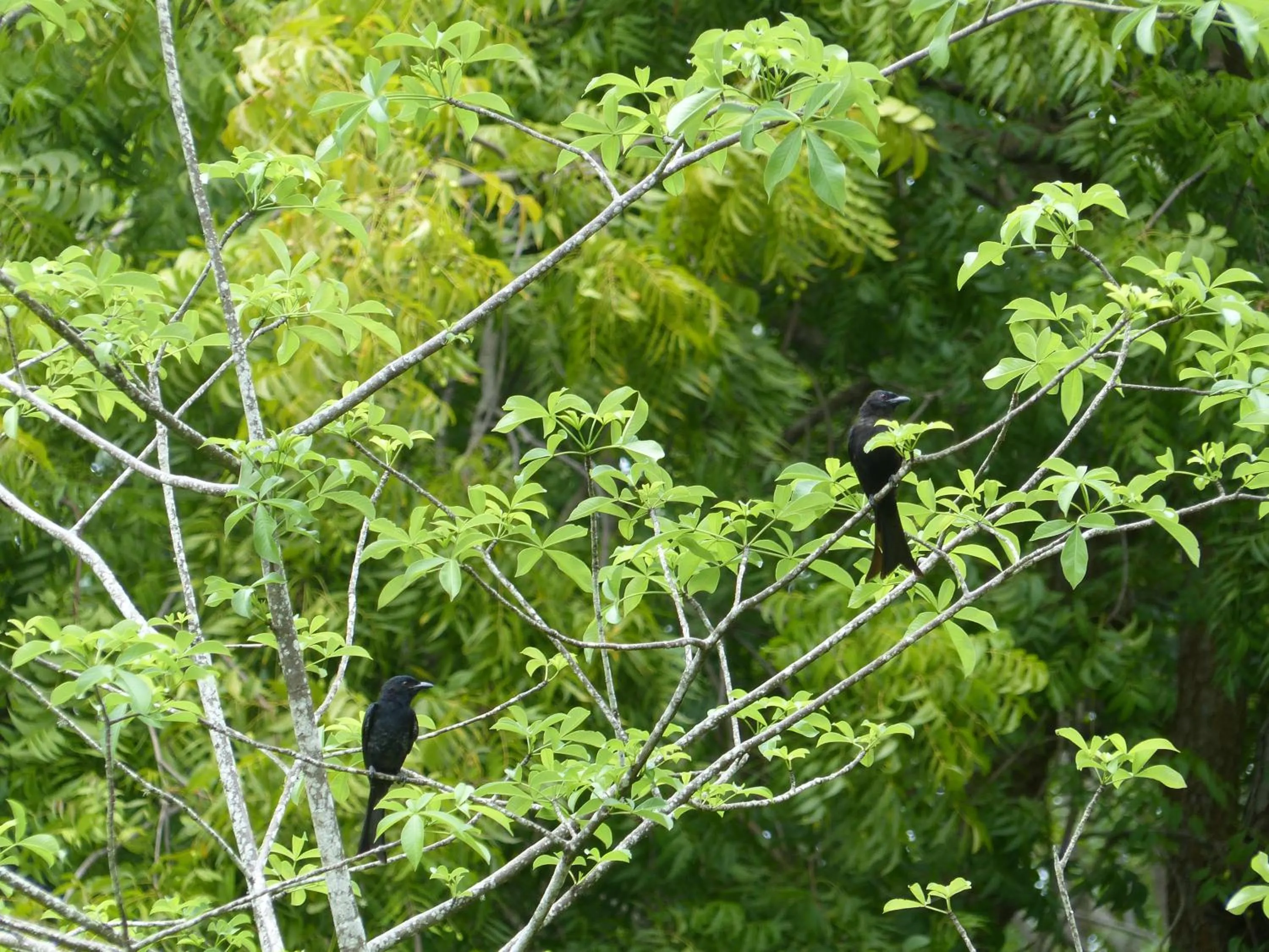 Garden in Residence Maison Müge