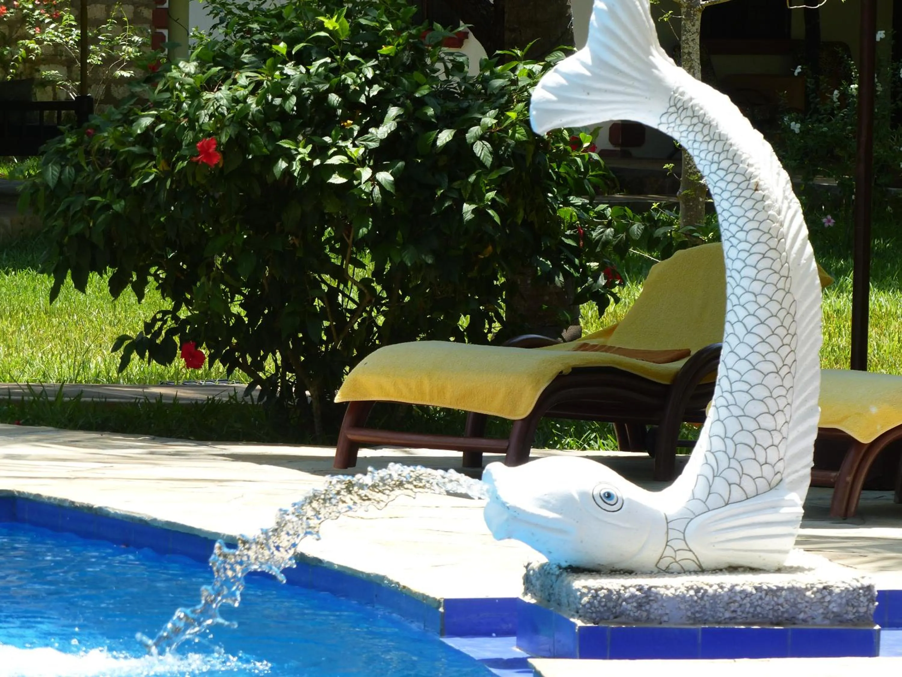 Swimming pool in Residence Maison Müge