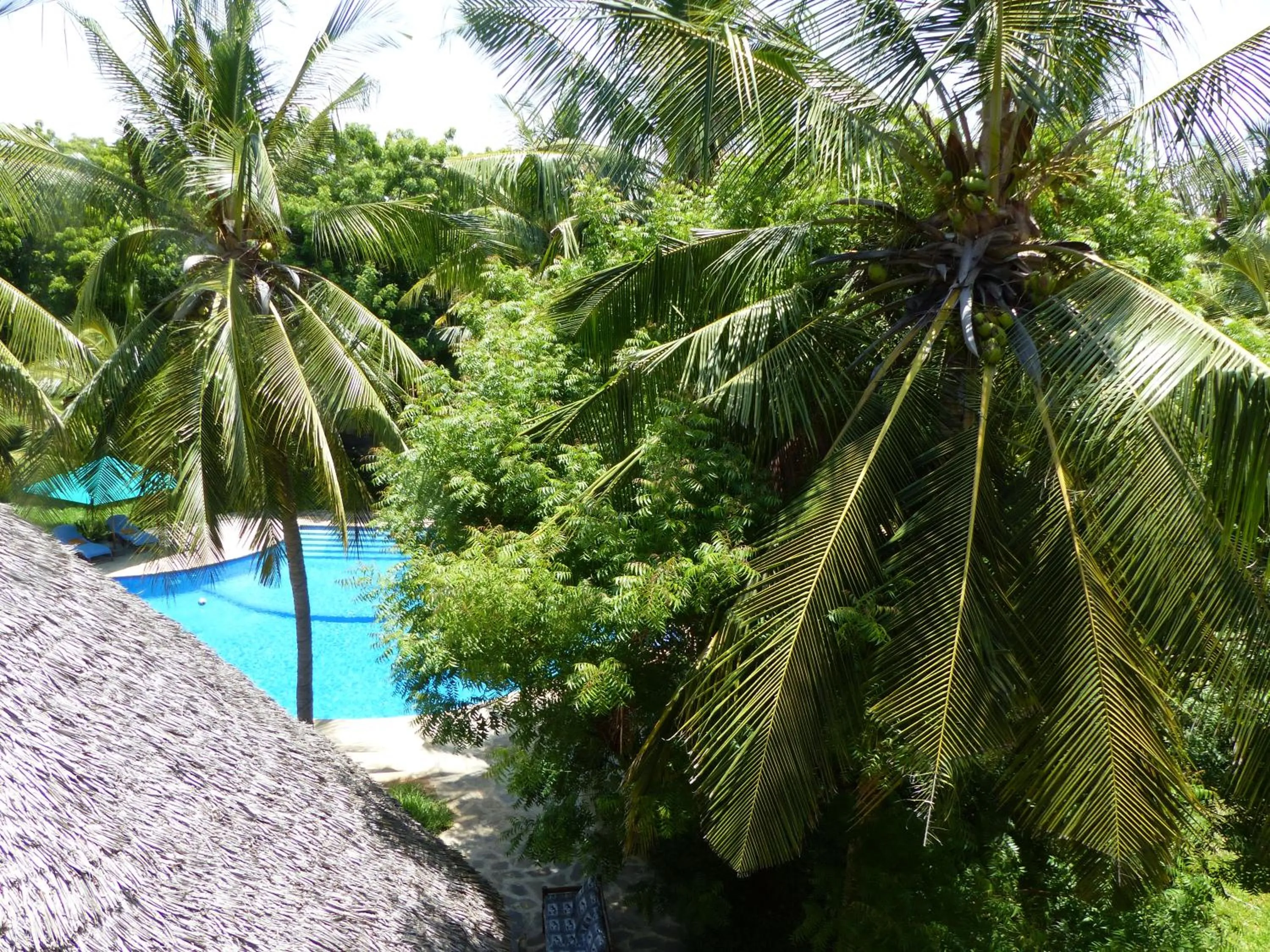 Balcony/Terrace in Residence Maison Müge