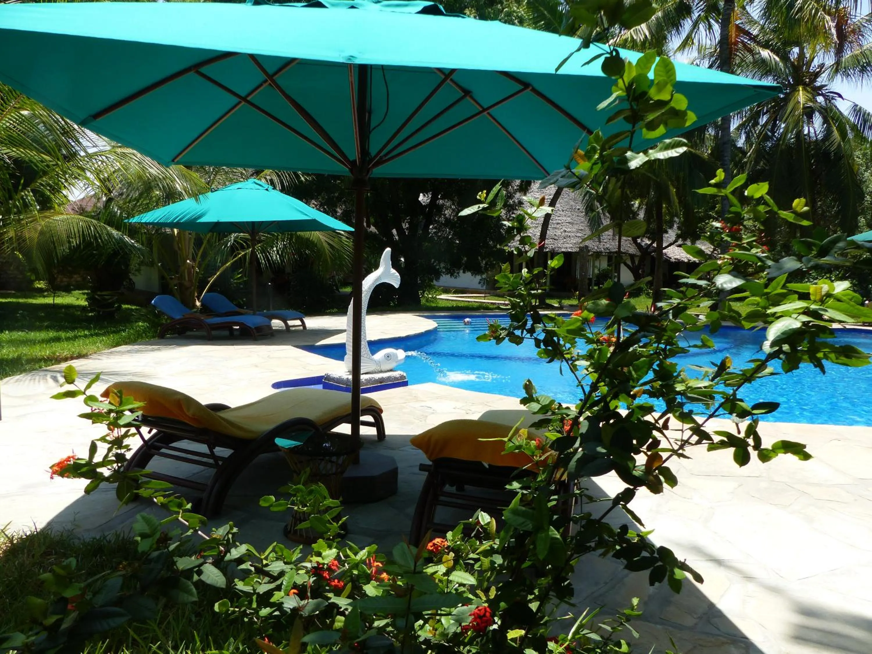 Swimming pool in Residence Maison Müge