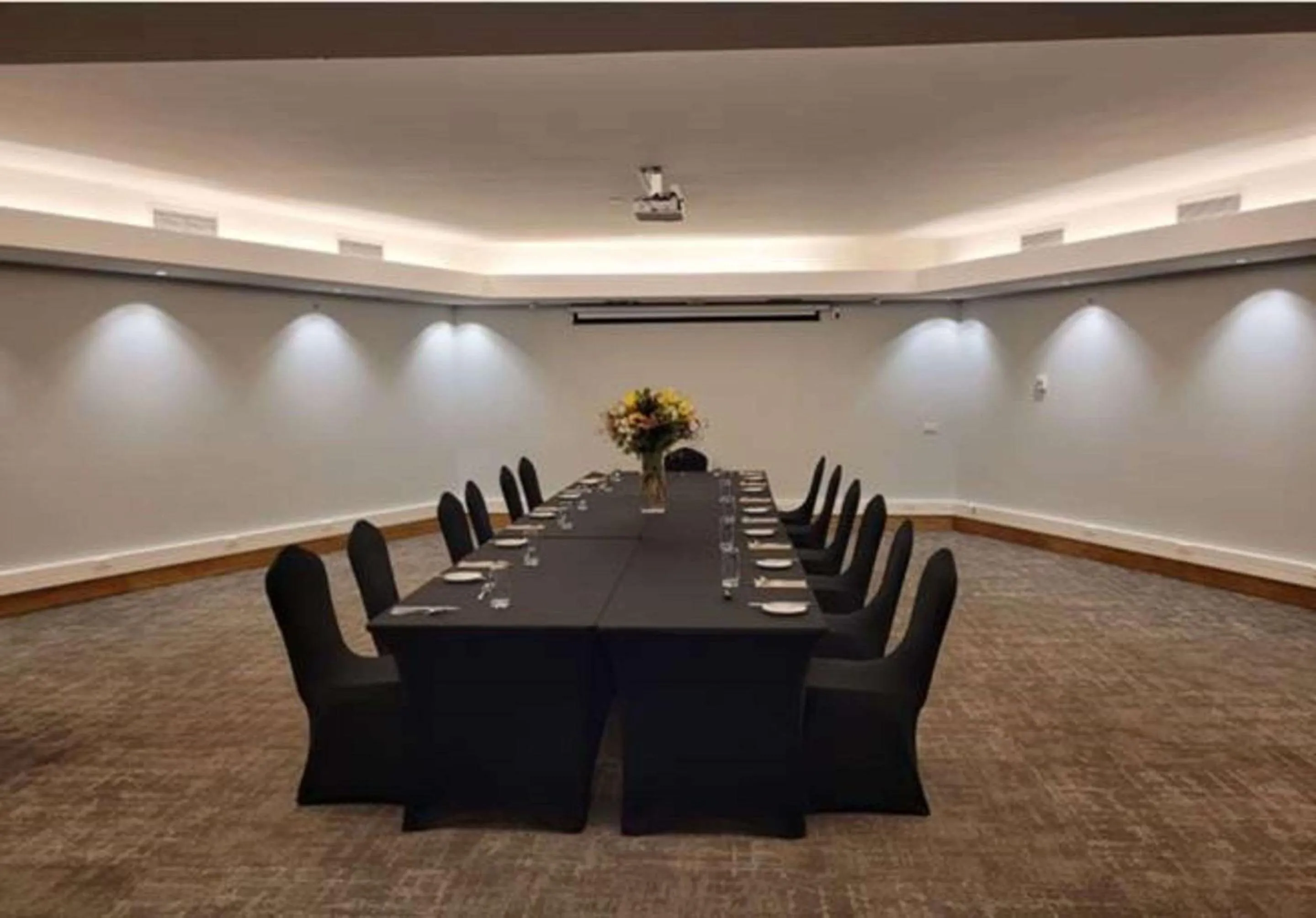 Meeting/conference room in Radisson Hotel Puerto Varas