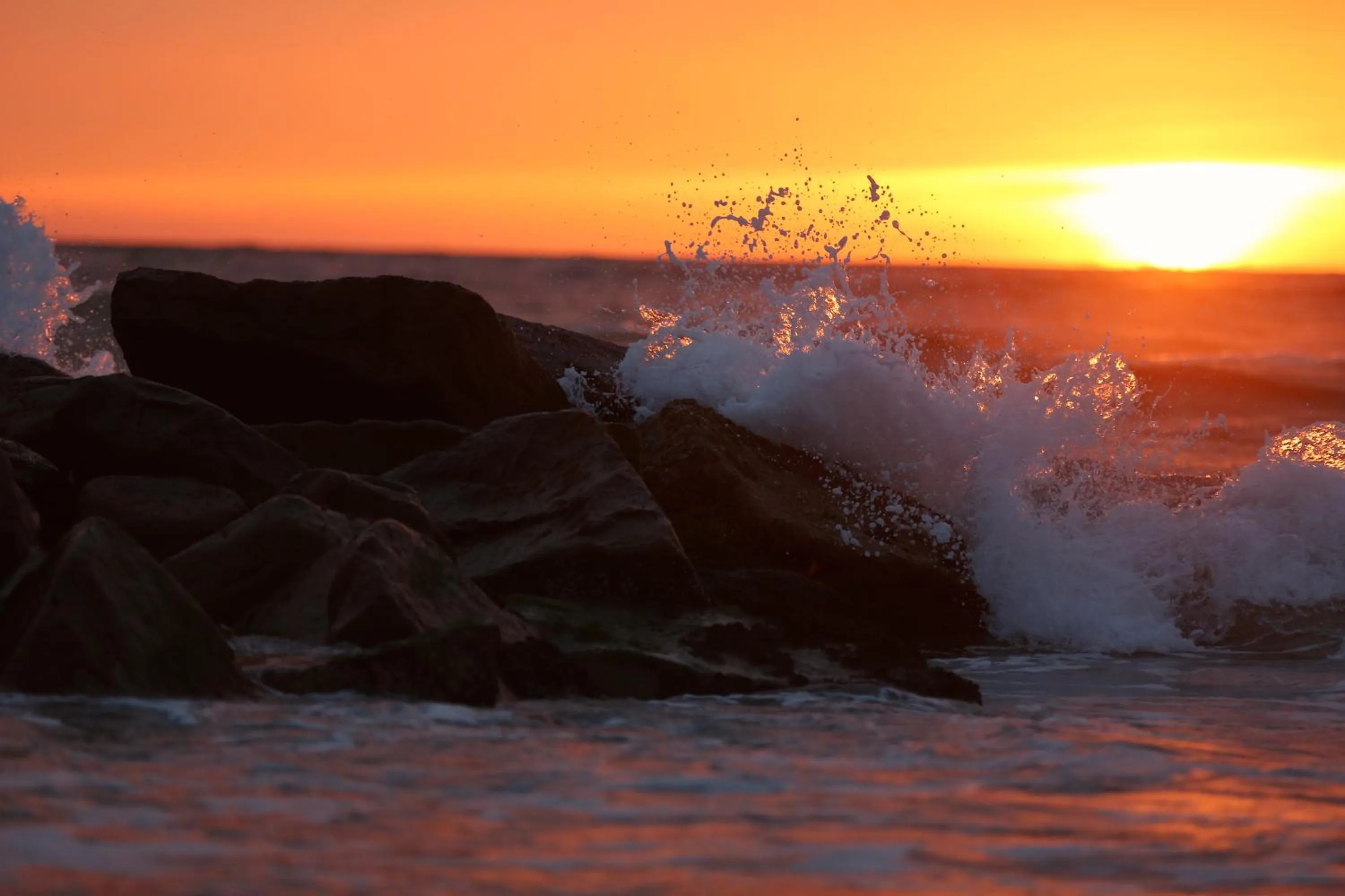 Natural landscape in Ruths Hotel
