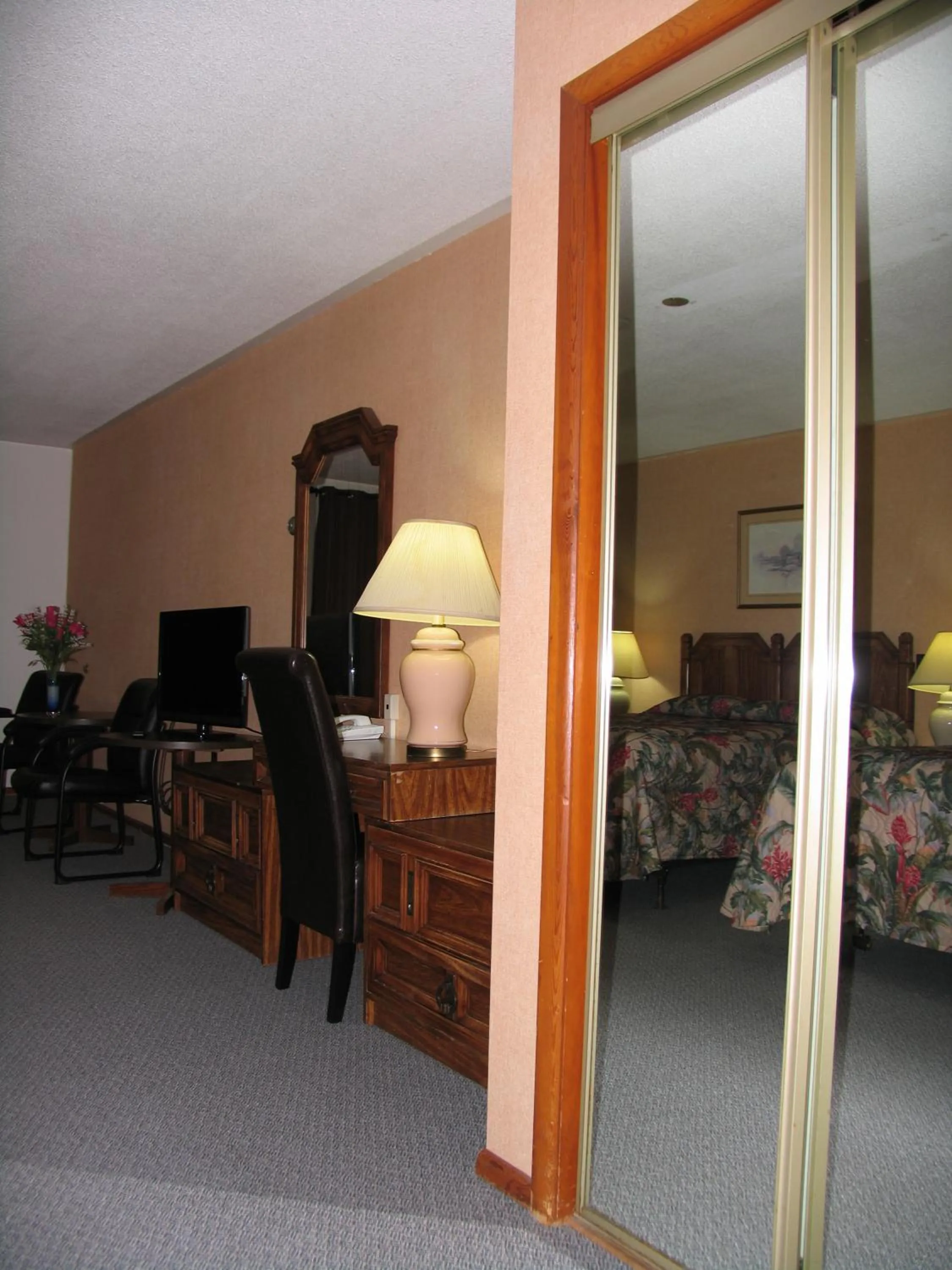 TV and multimedia in Seven Oakes Motel