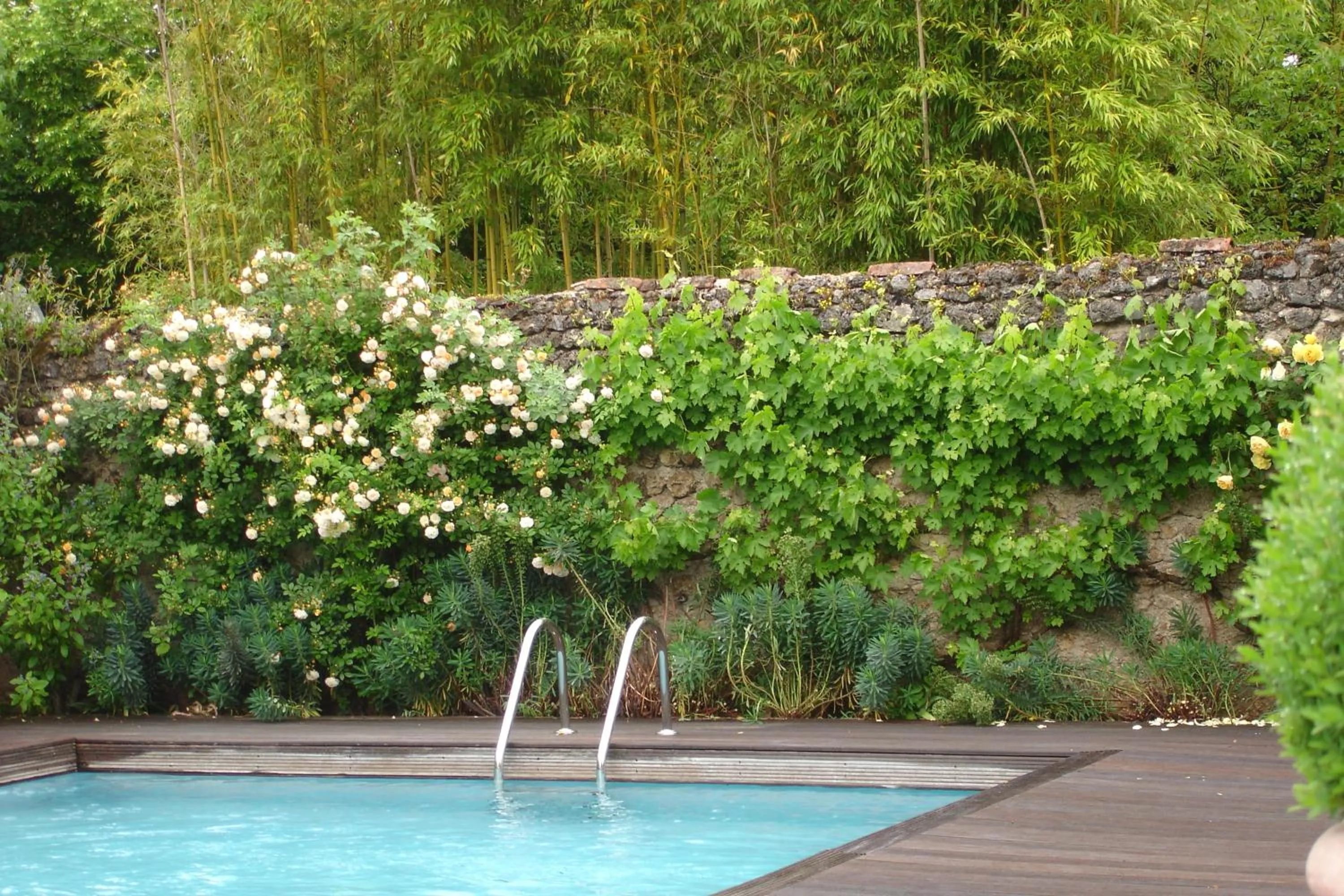 Garden in Hôtel Les Orangeries