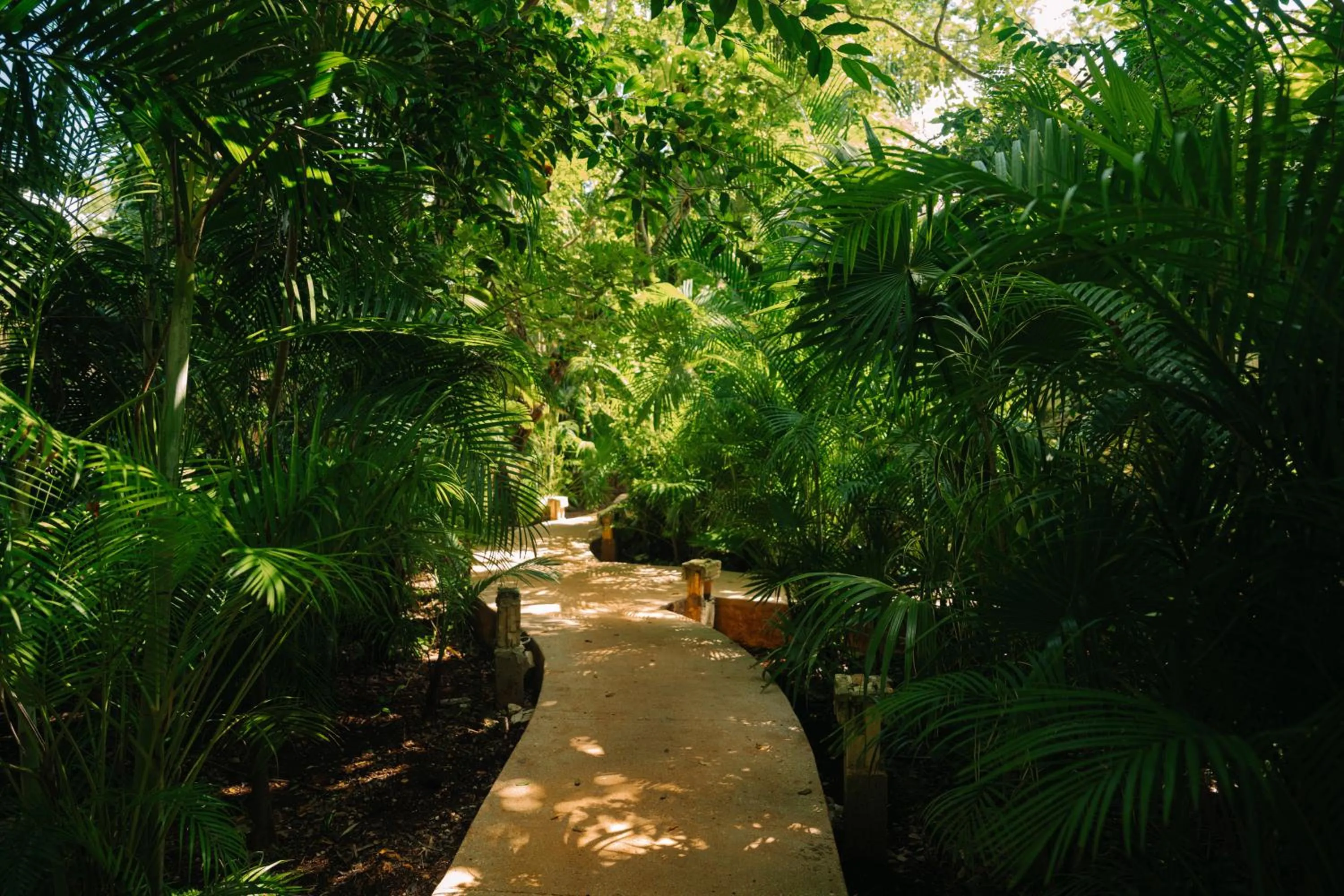 Day in Aldea Coba An Escape Boutique Experience