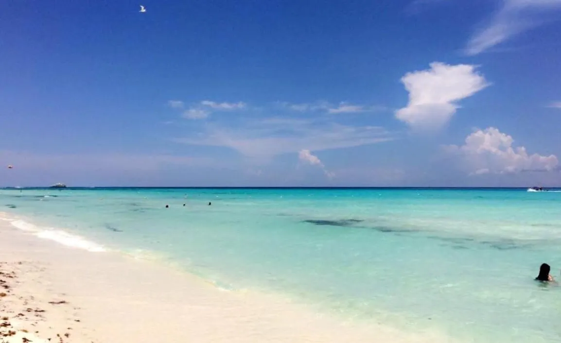 Luxury 5th Avenue Menesse 32