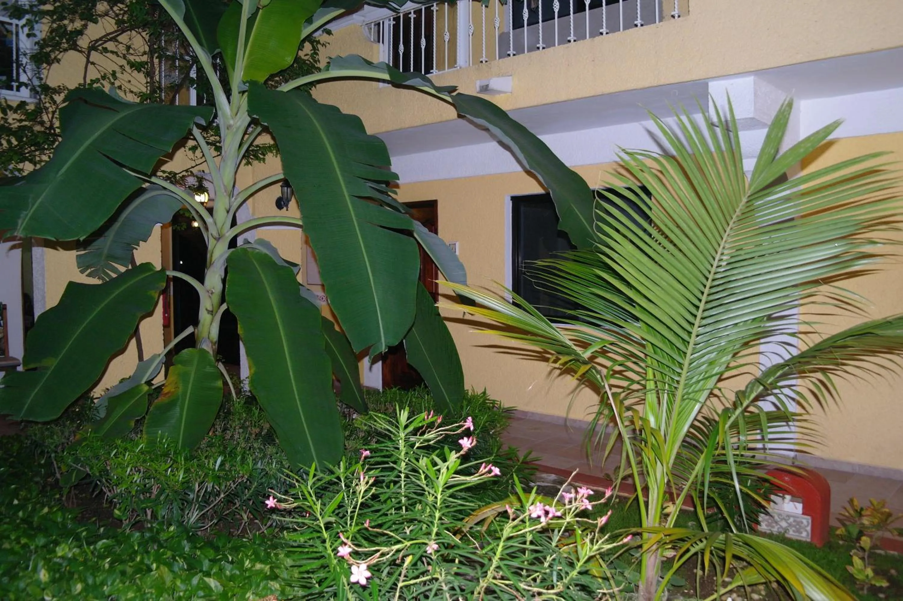 Balcony/Terrace in Hotel Real Del Mayab