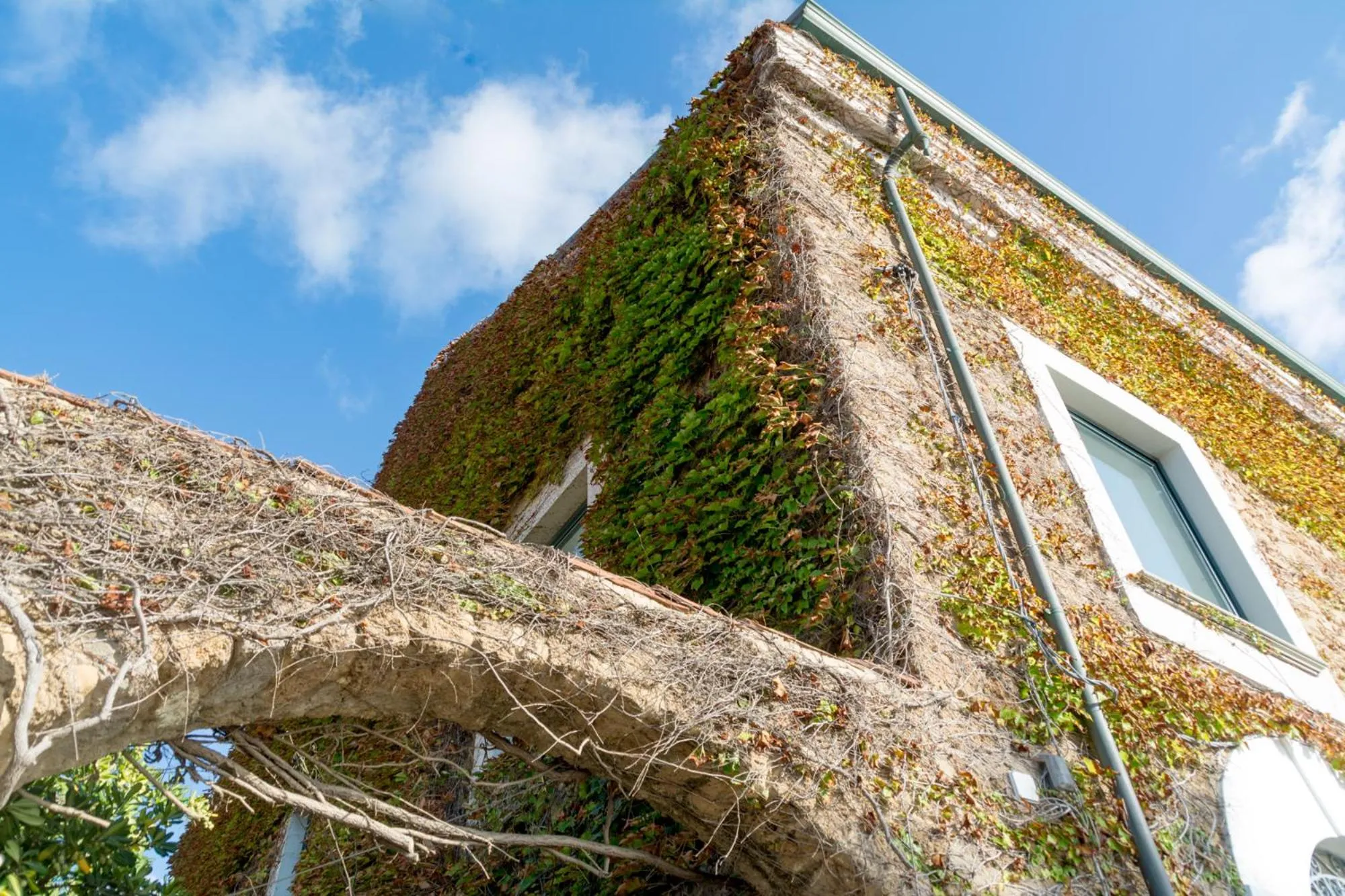 Property building in La Belle Vie B&B