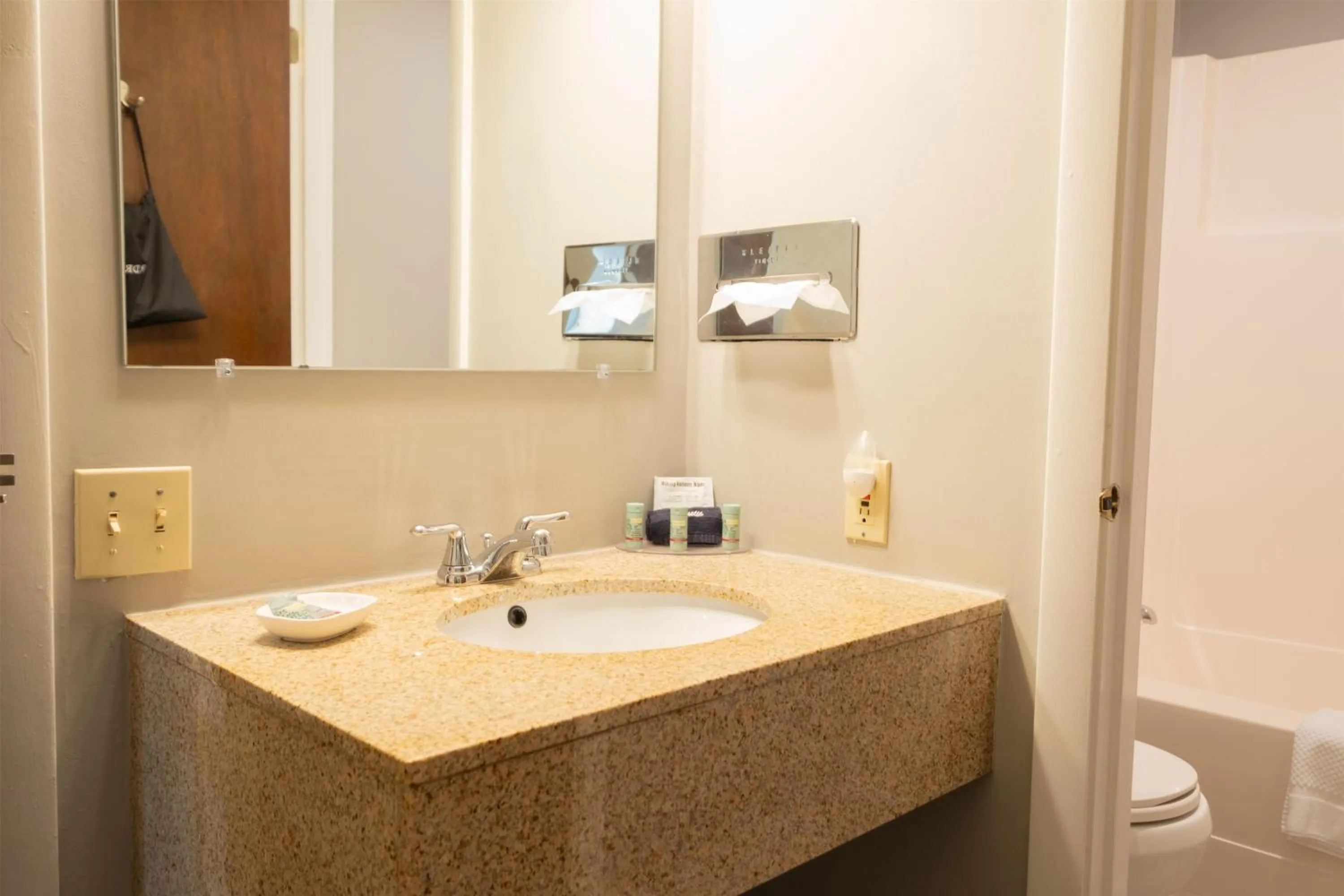 Bathroom in Fireside Inn and Suites Bangor