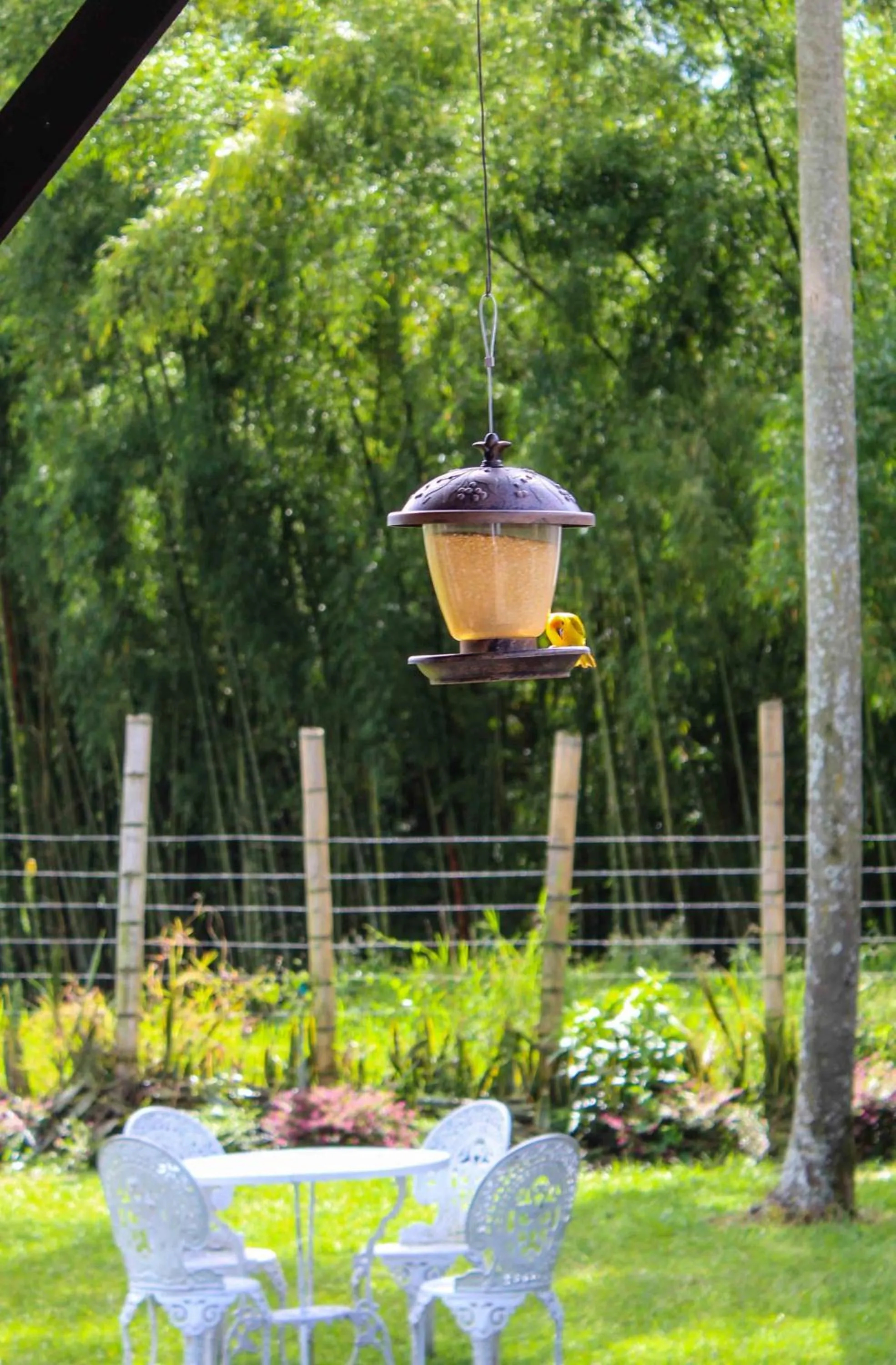 Spring in Hotel campestre La Floresta