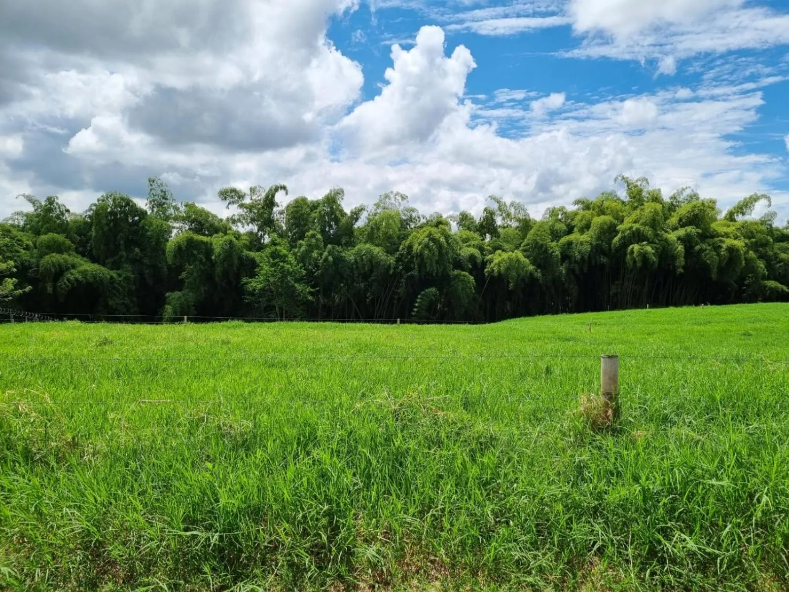 Off site in Hotel campestre La Floresta