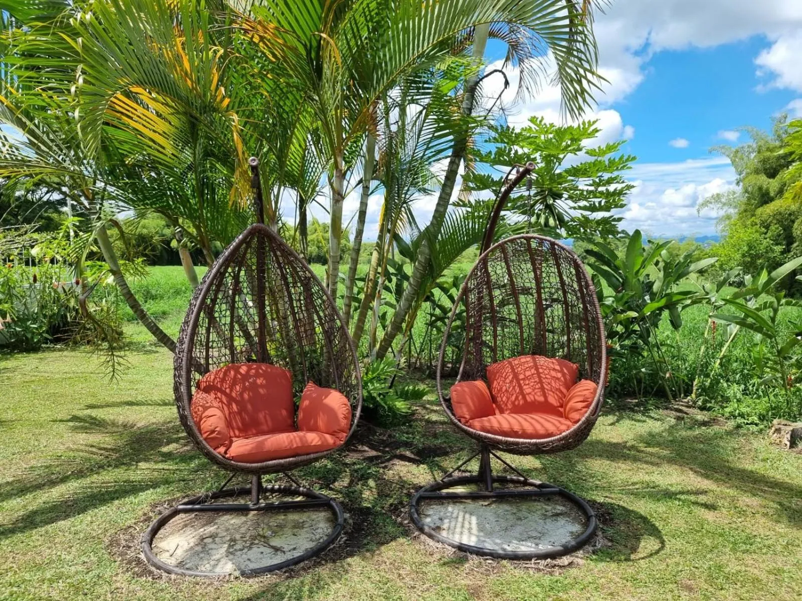 sunbed in Hotel campestre La Floresta