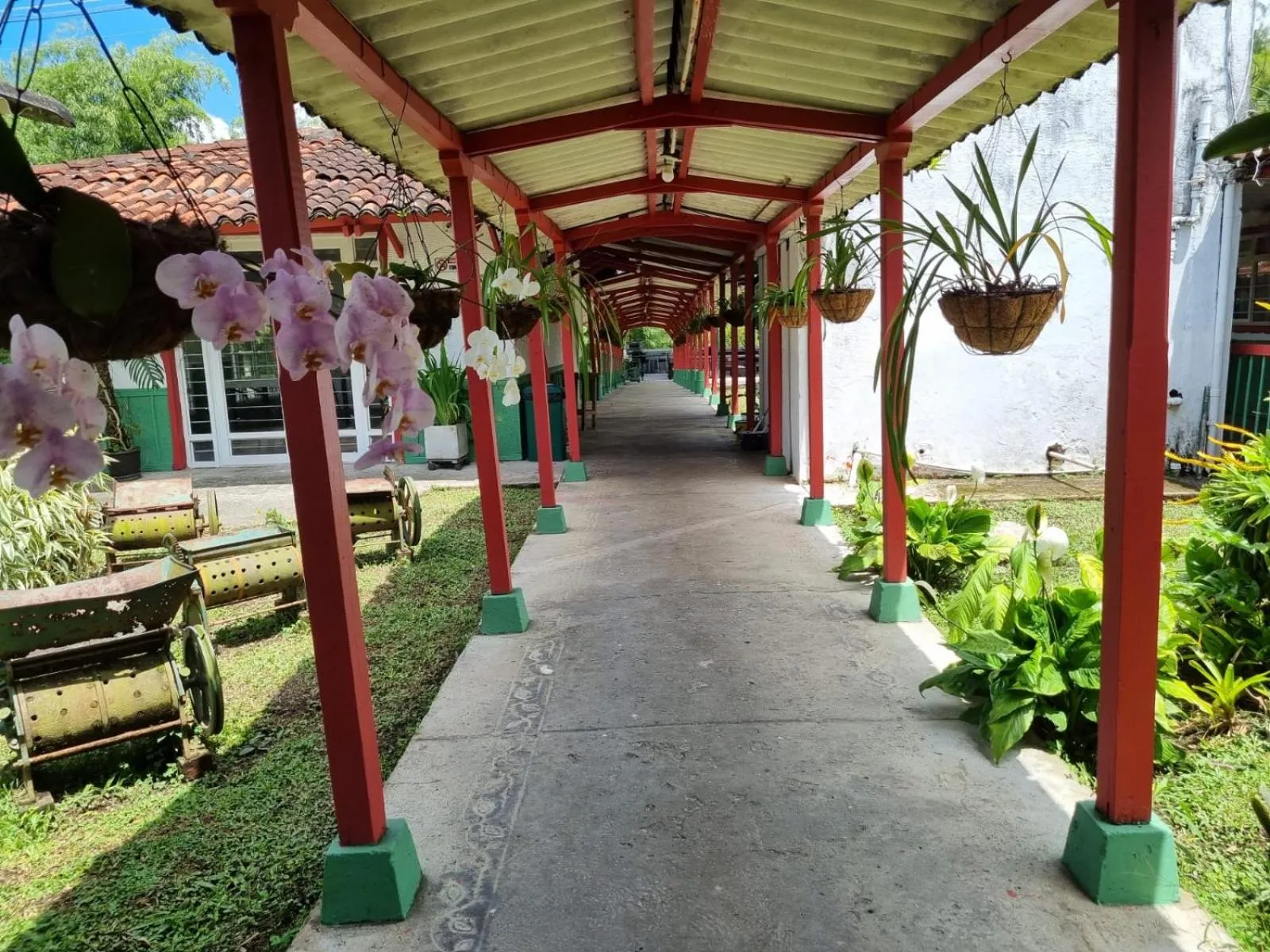 Garden in Hotel campestre La Floresta