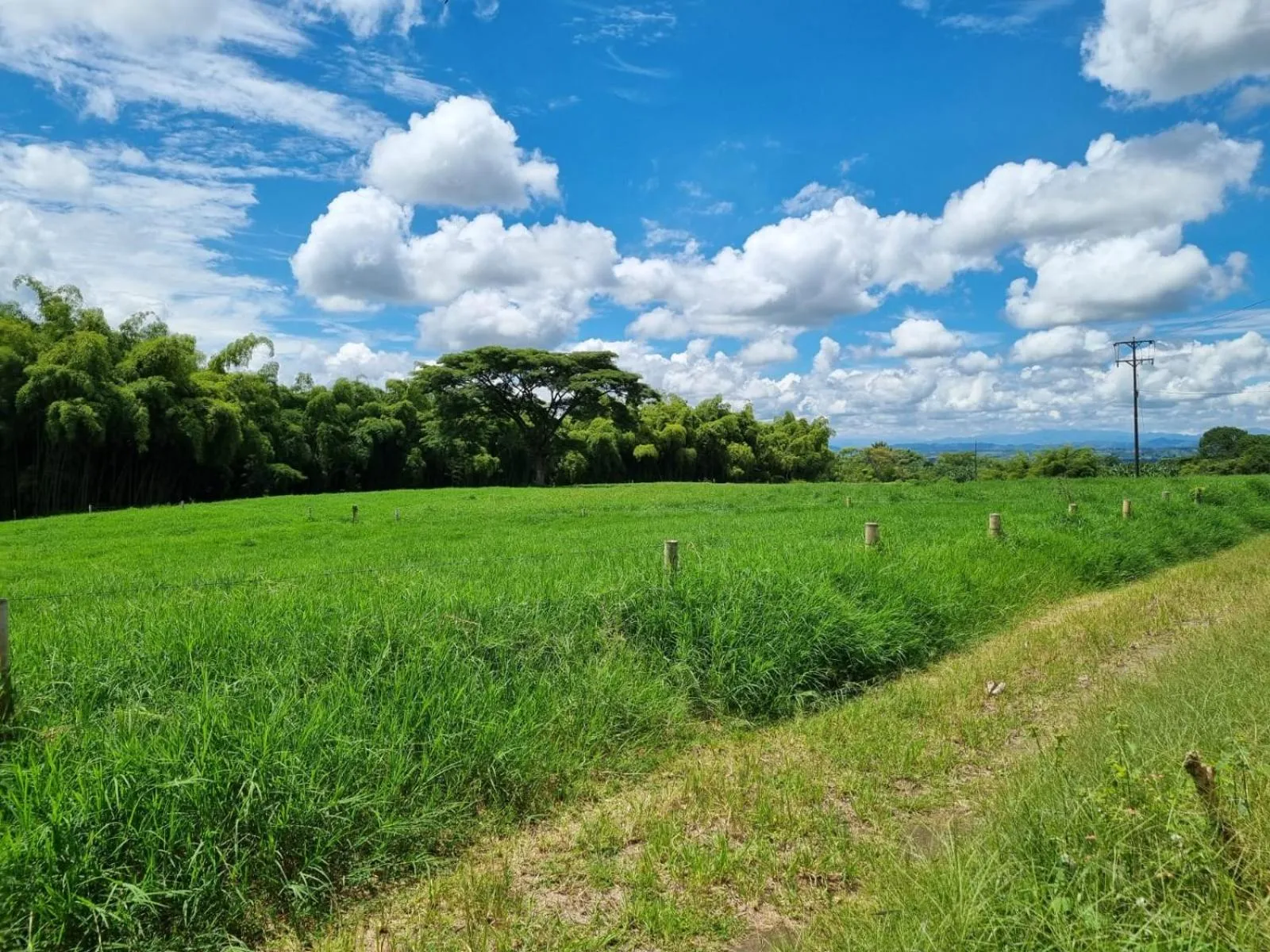 Off site in Hotel campestre La Floresta