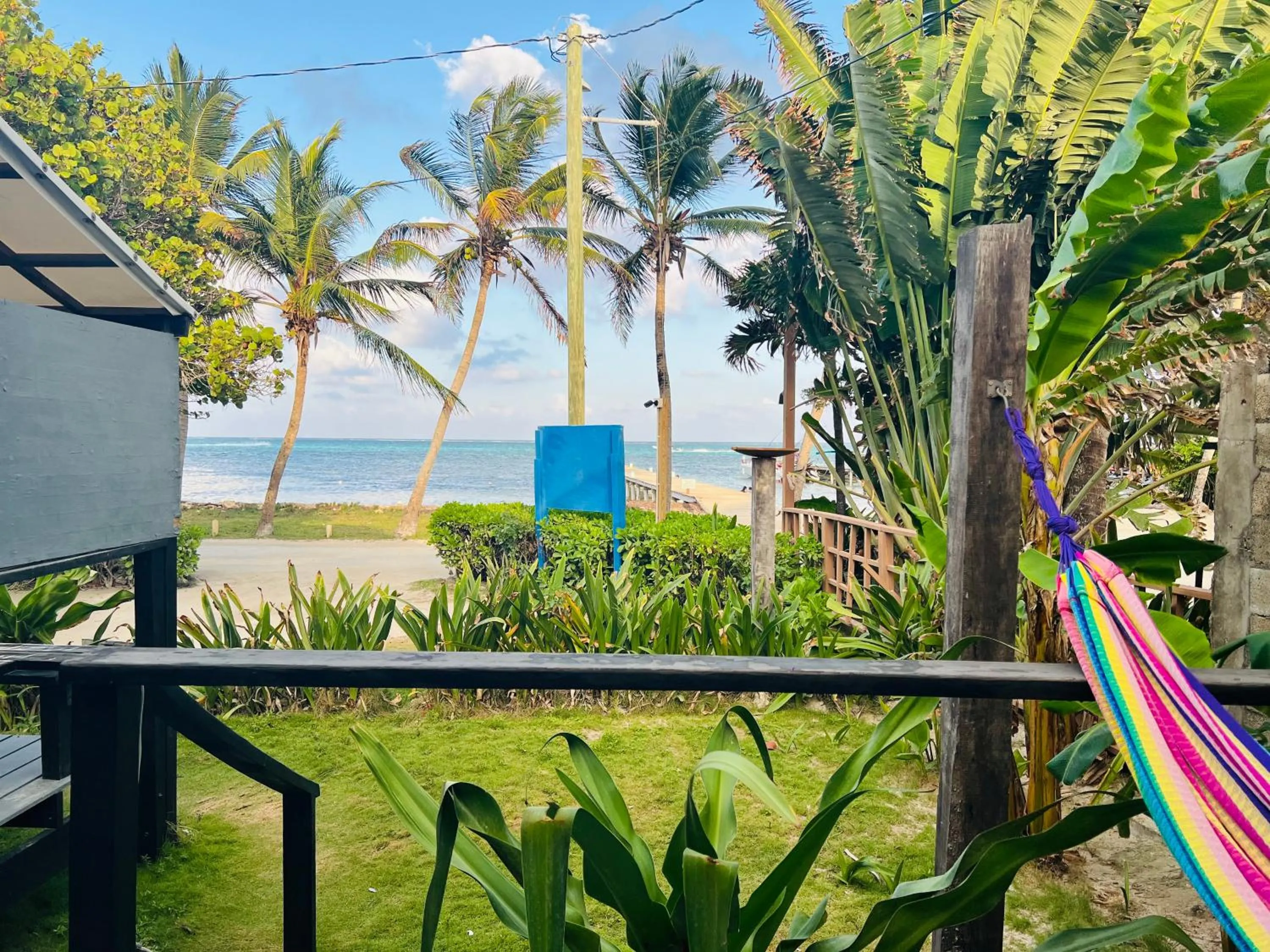 View (from property/room) in Hotel Del Rio