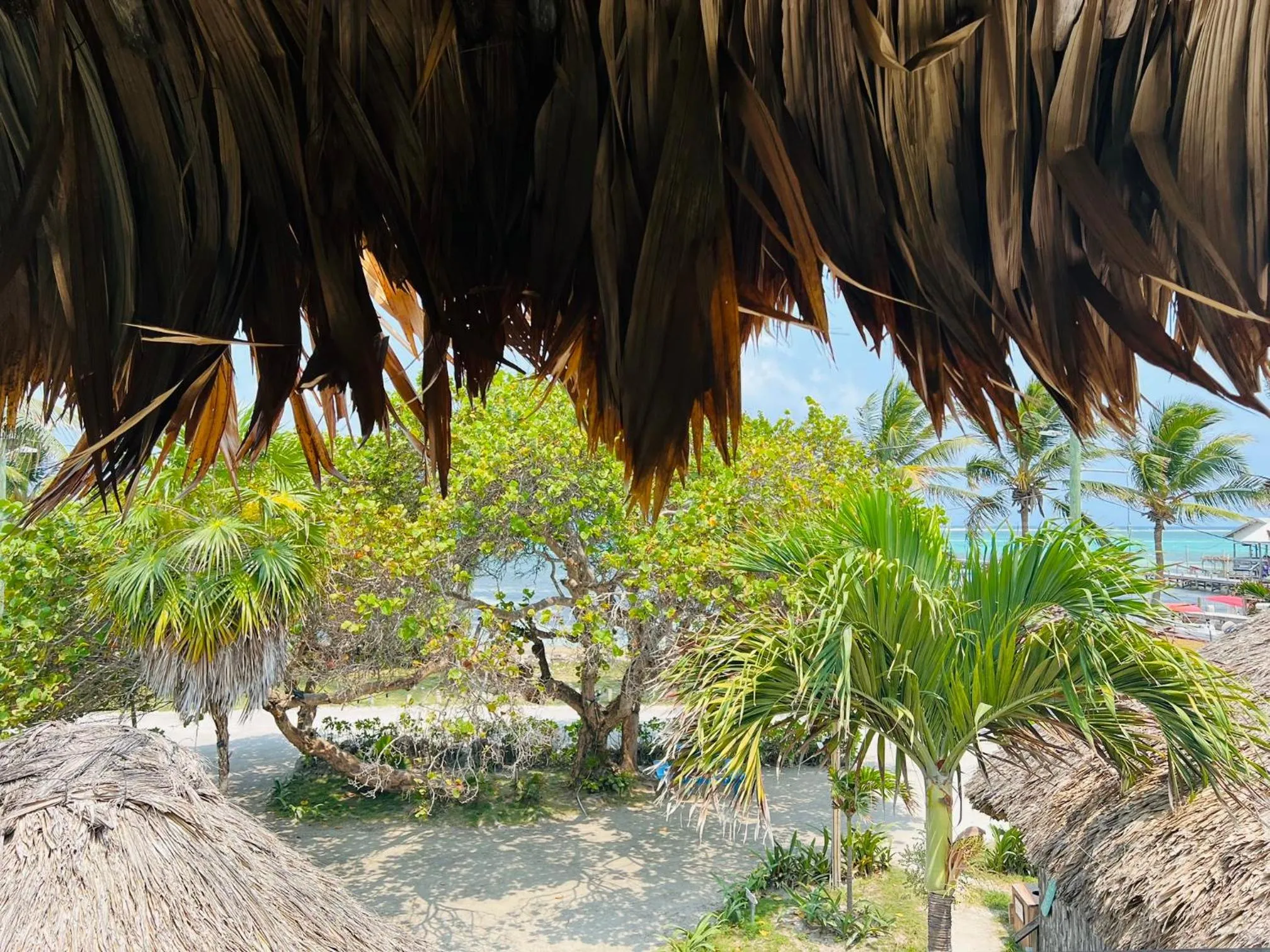 Sea view in Hotel Del Rio