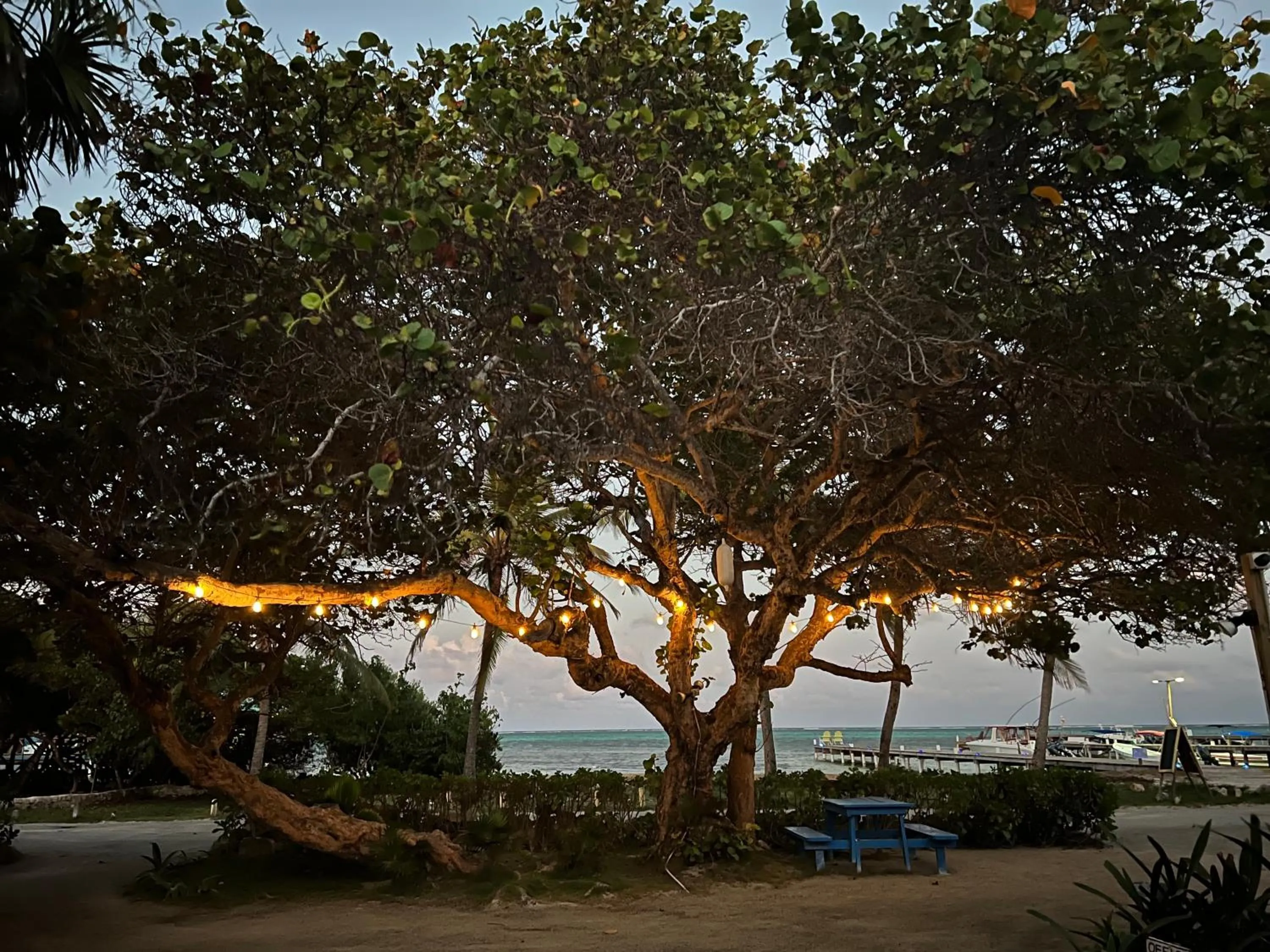 Other in Hotel Del Rio