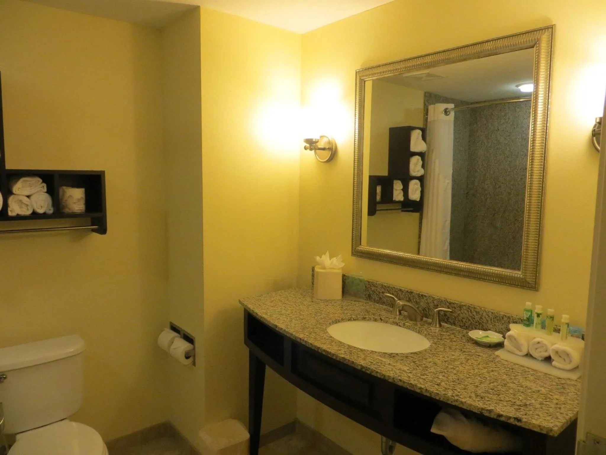 Bathroom in Holiday Inn Express and Suites Saint Augustine North by IHG