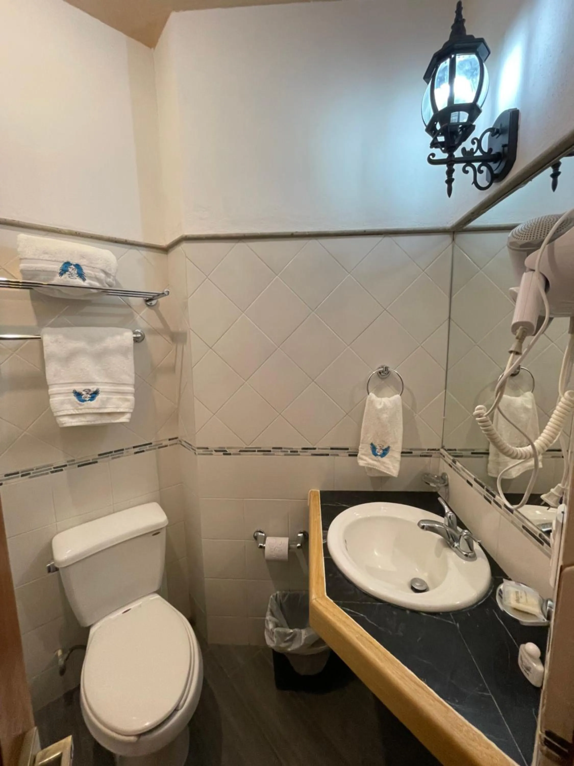 Bathroom in Hotel & Balneario Los Angeles