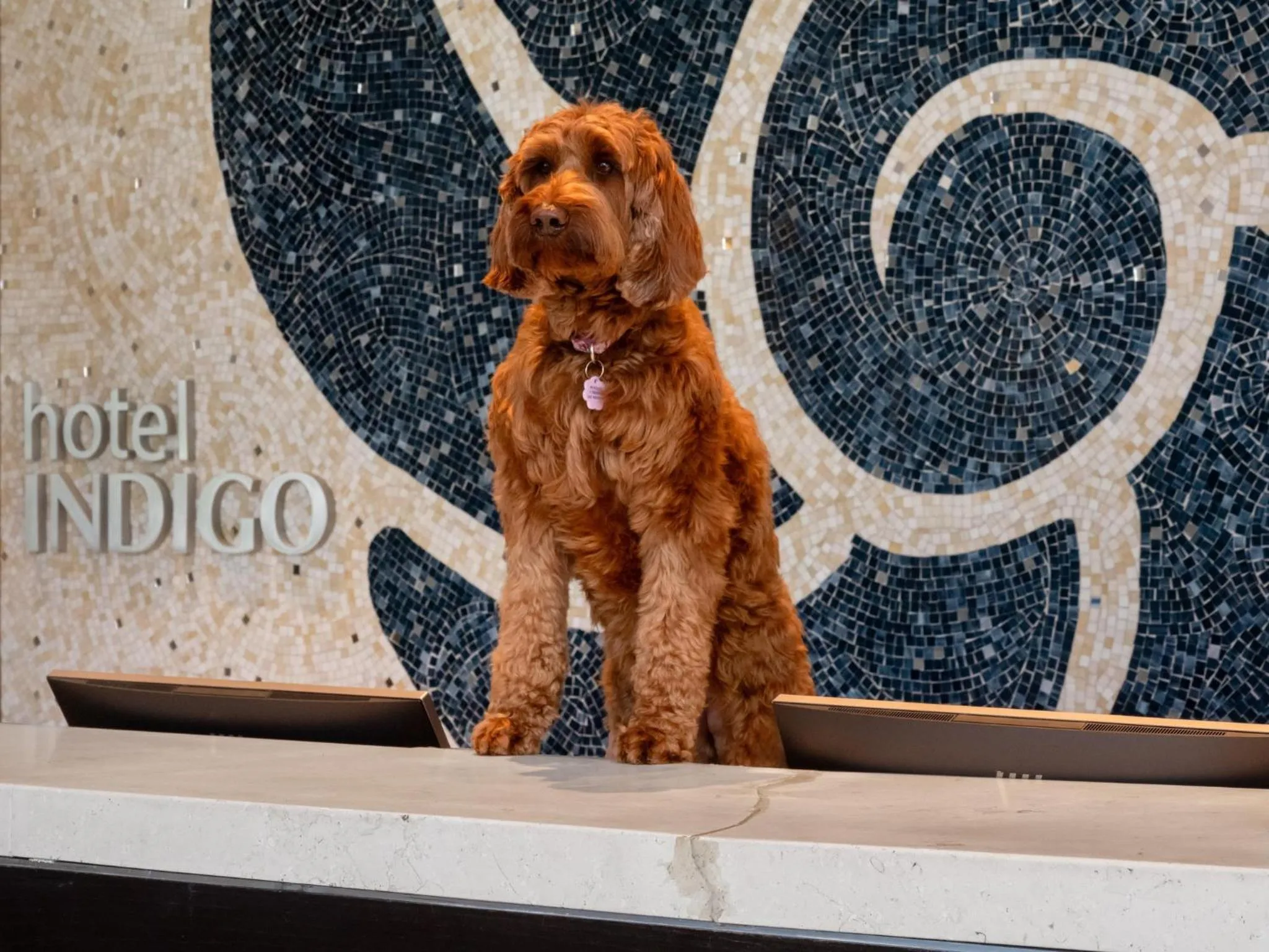 Property building in Hotel Indigo East End by IHG