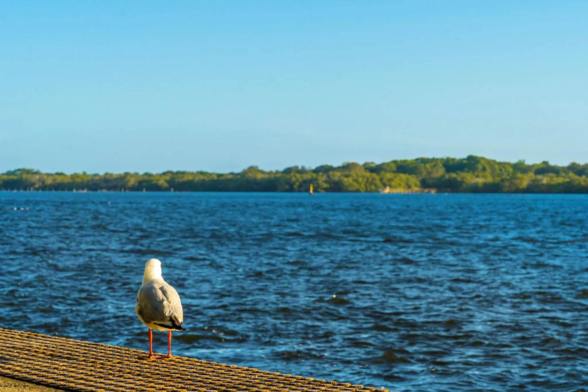 Natural landscape in Riverside Holiday Apartments