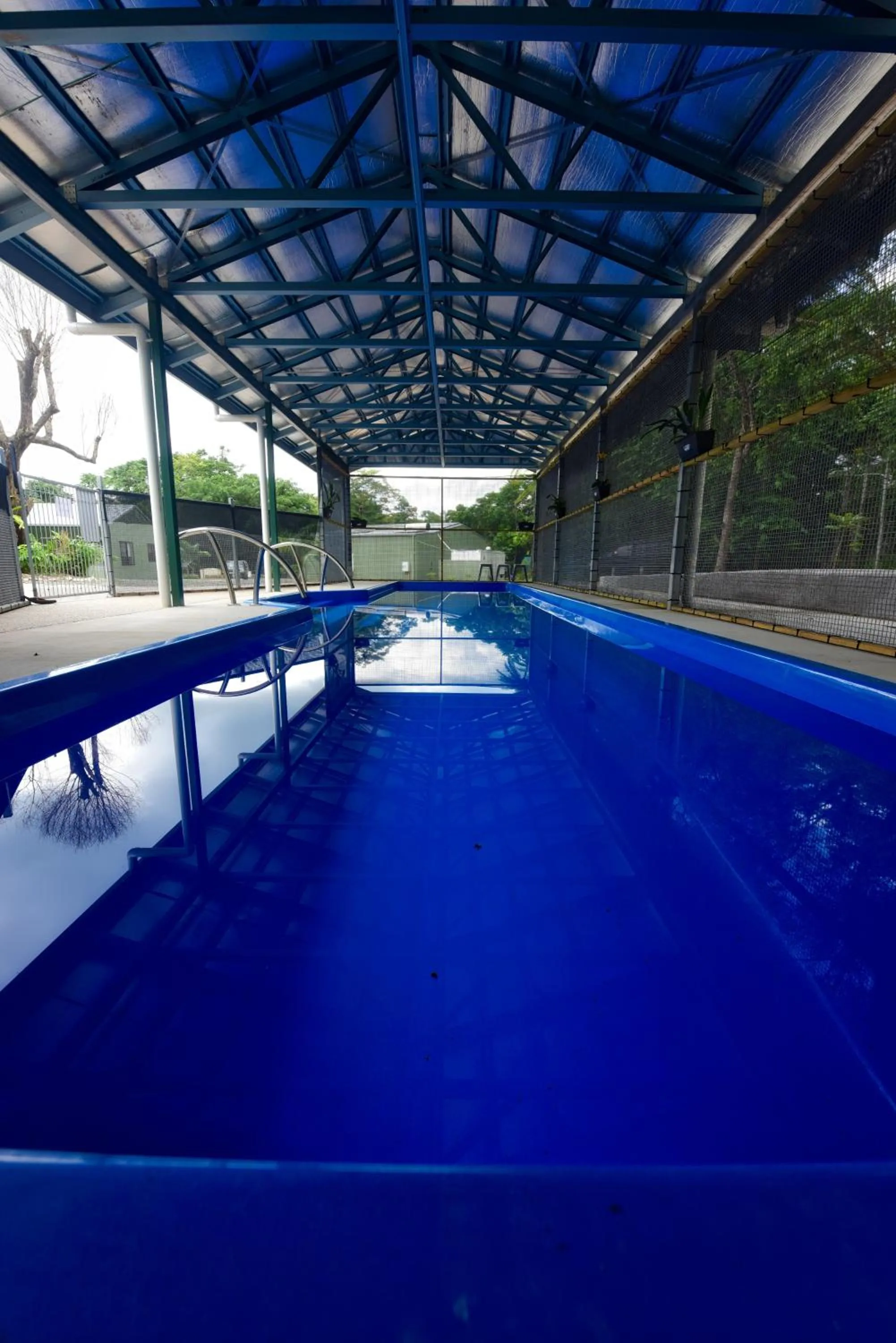 Swimming pool in Daintree Peaks ECO Stays