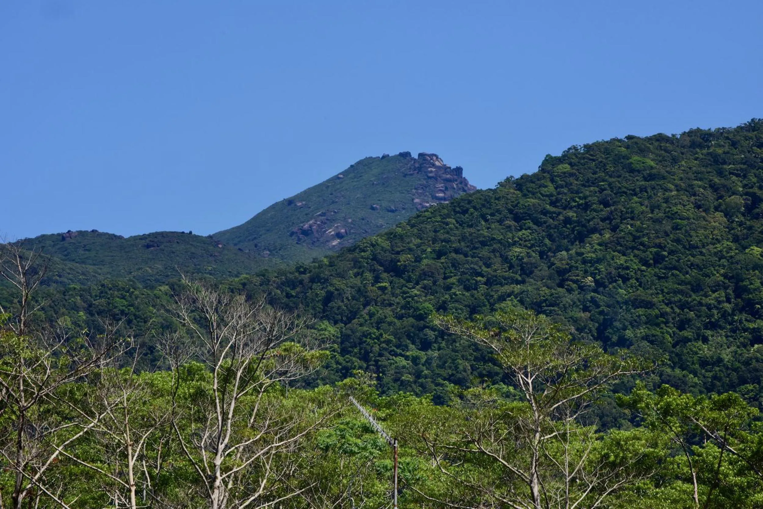 Nearby landmark in Daintree Peaks ECO Stays