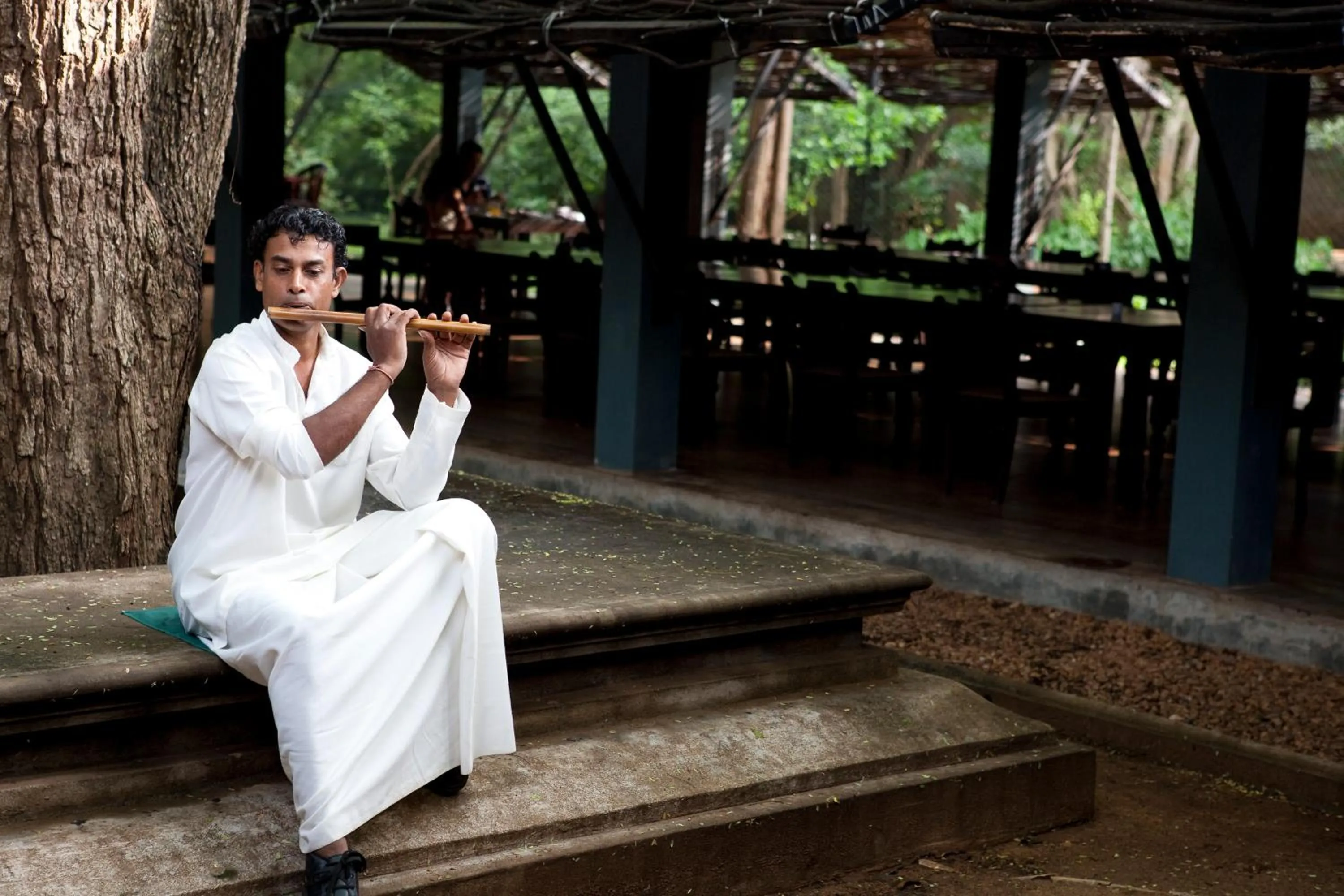 Other in Hotel Sigiriya