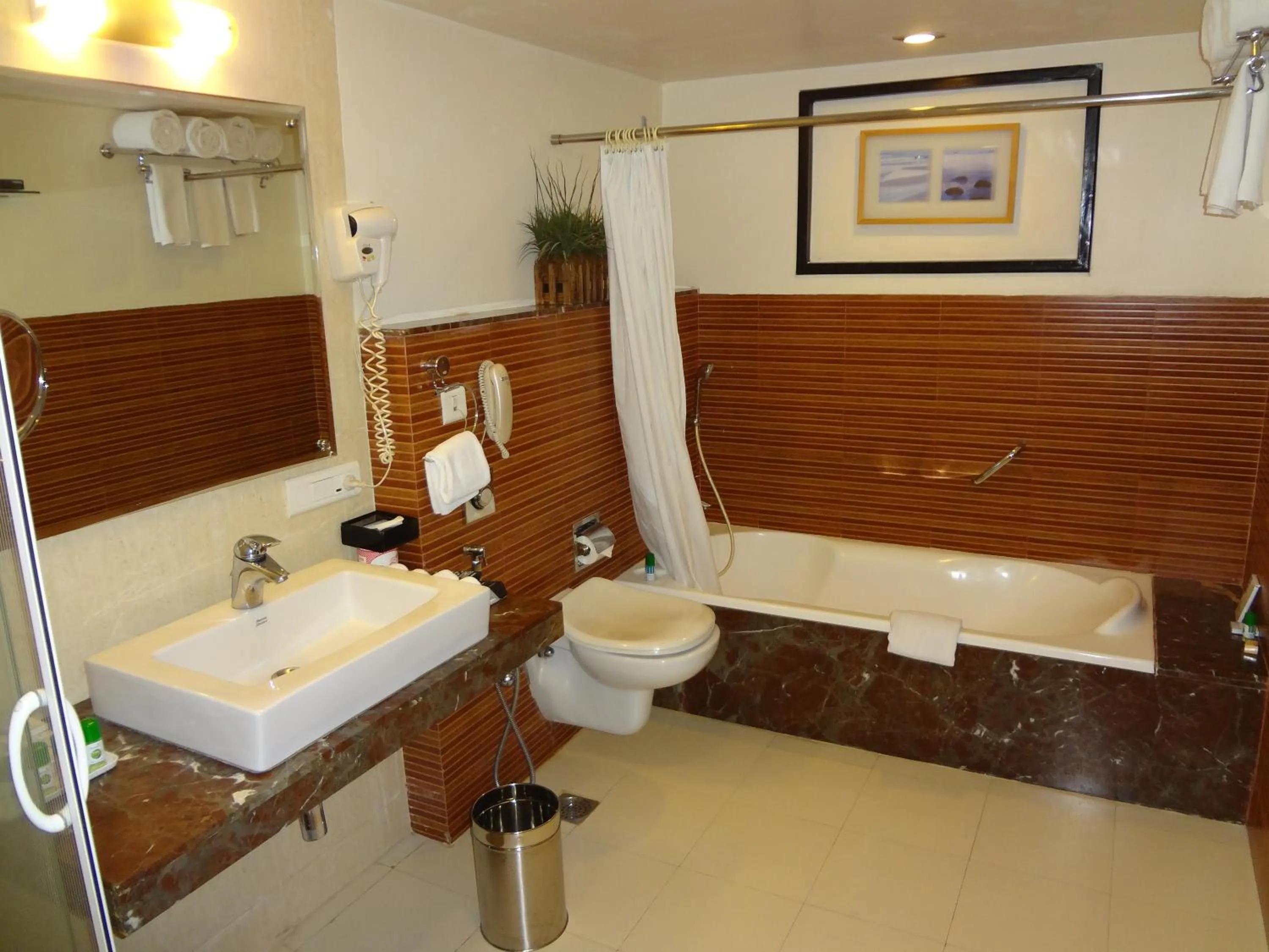 Bathroom in Fortune Inn Sree Kanya Visakhapatnam