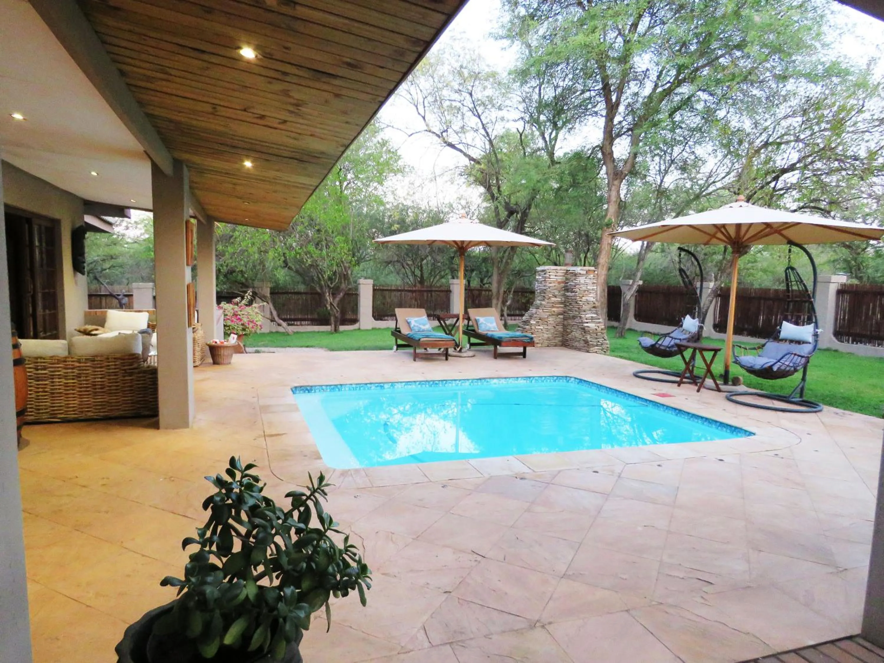 Swimming pool in Wild Dog Guest Lodge