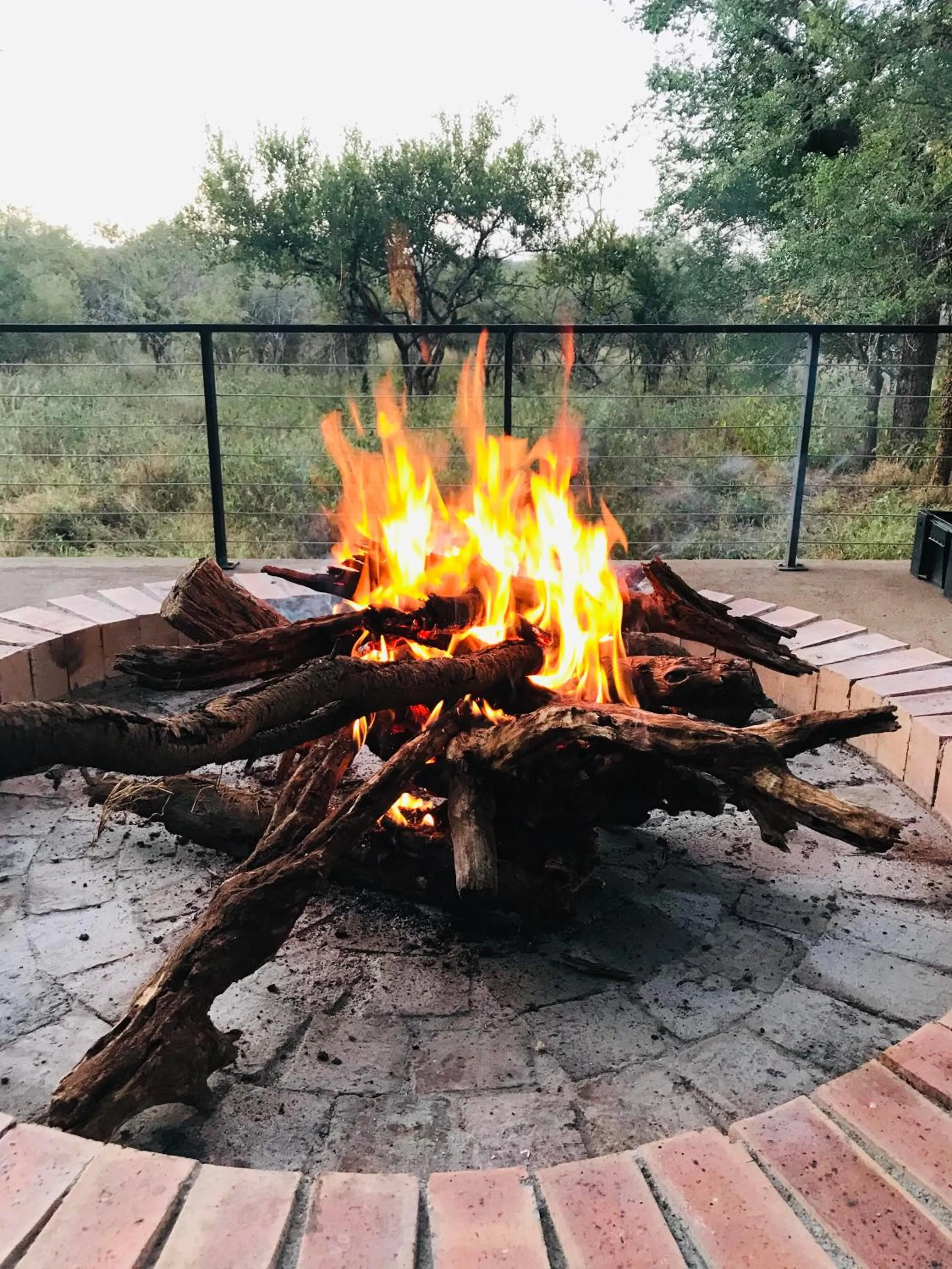 BBQ facilities in Wild Dog Guest Lodge