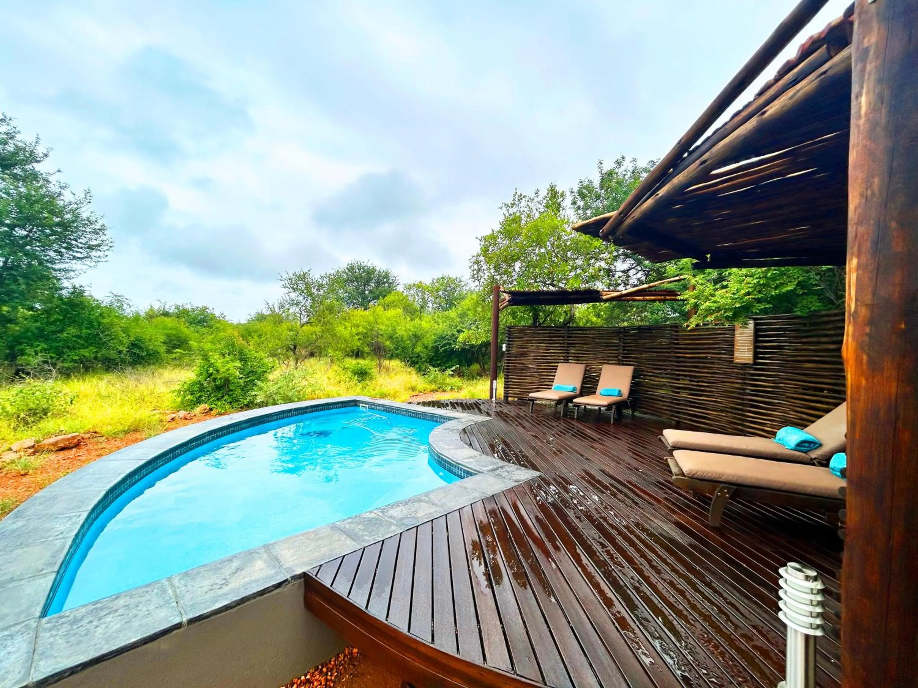 Natural landscape in Wild Dog Guest Lodge