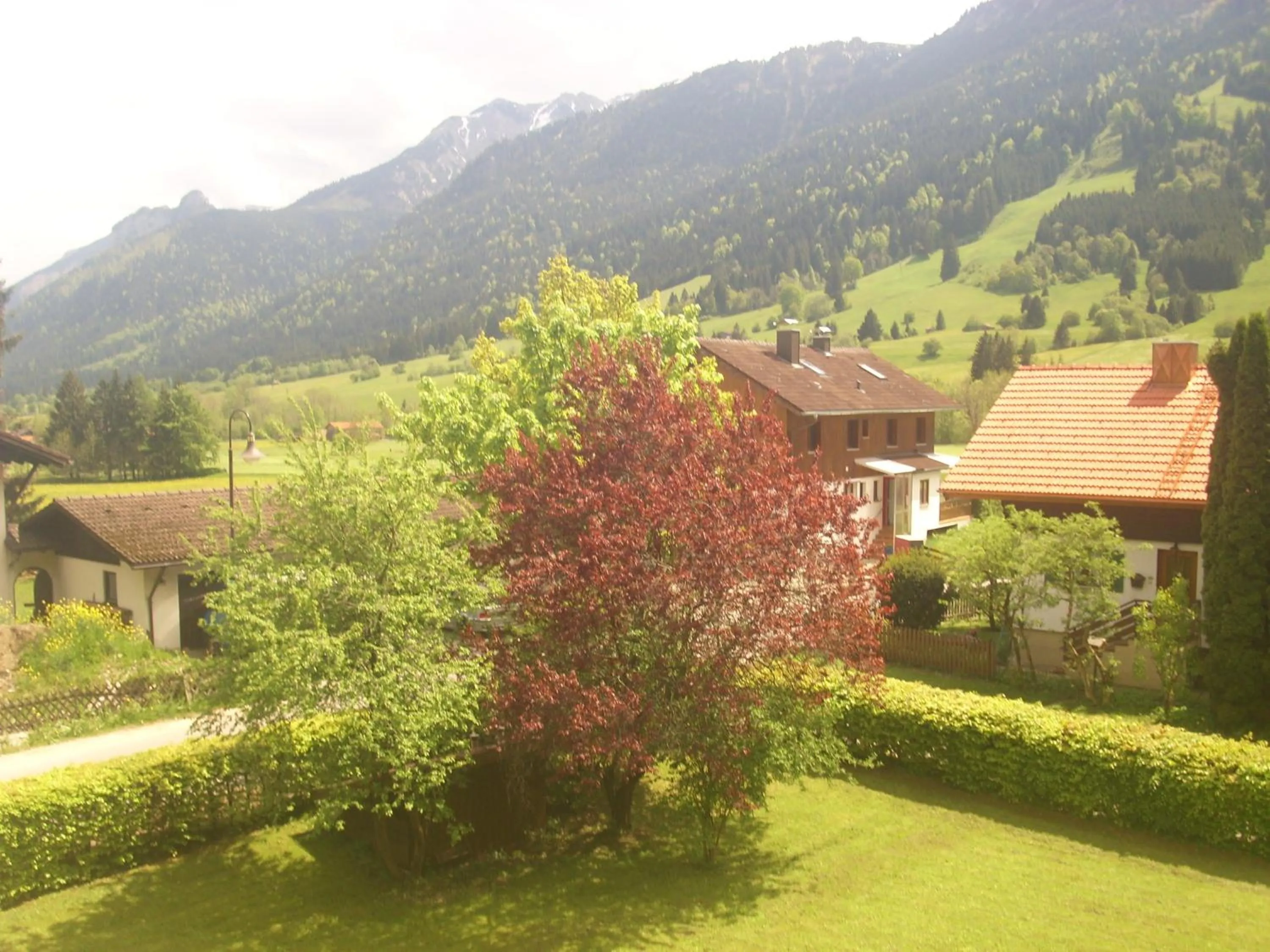 Day in Appartement-Hotel Happy Kienberg