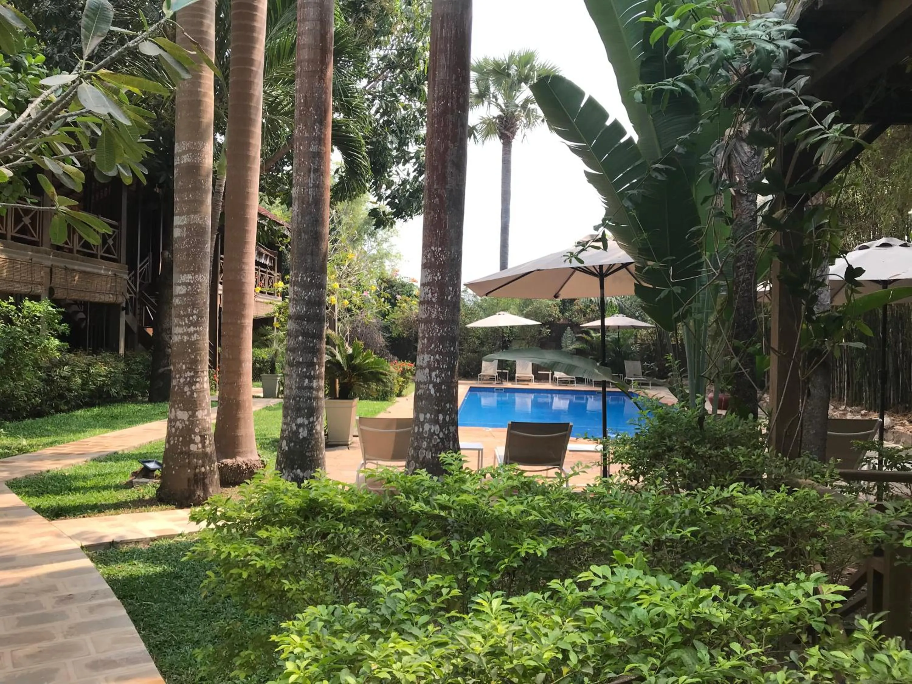 Swimming pool in La Palmeraie D'angkor