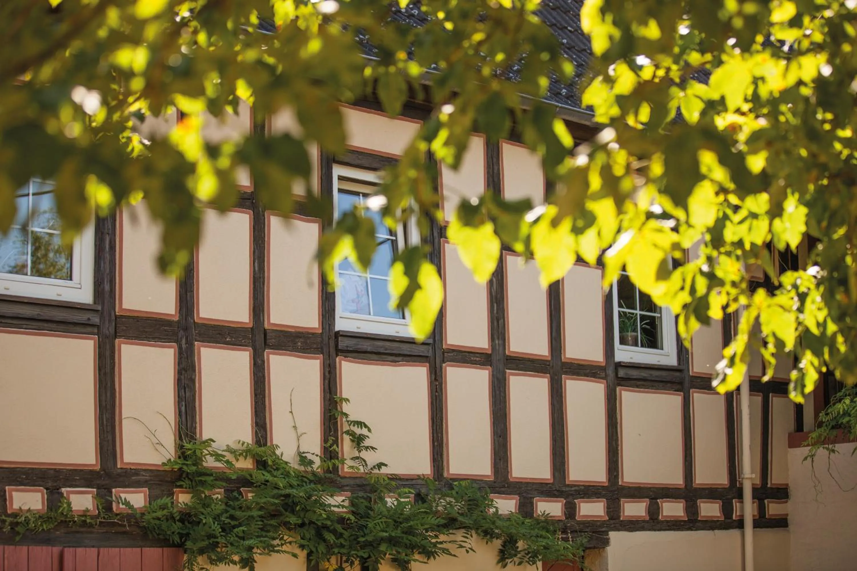 Property building in Weinhotel Wasem