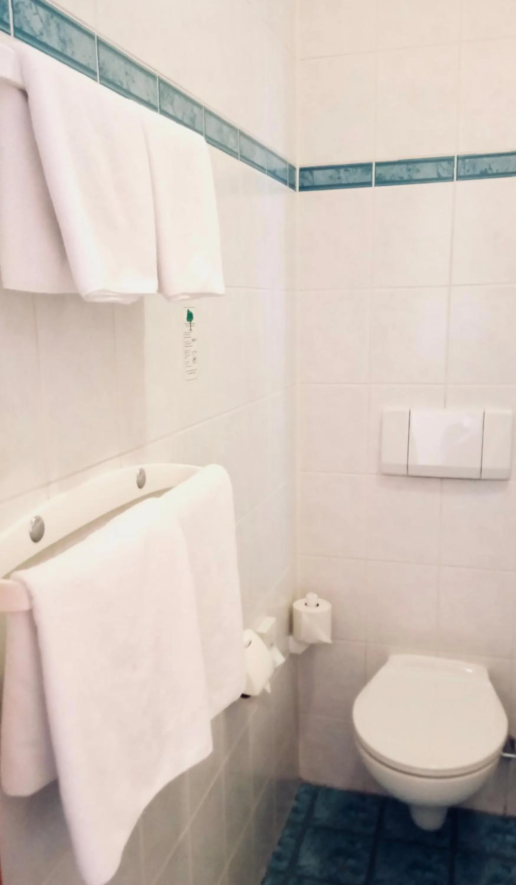 Toilet in Landhotel Krausnick