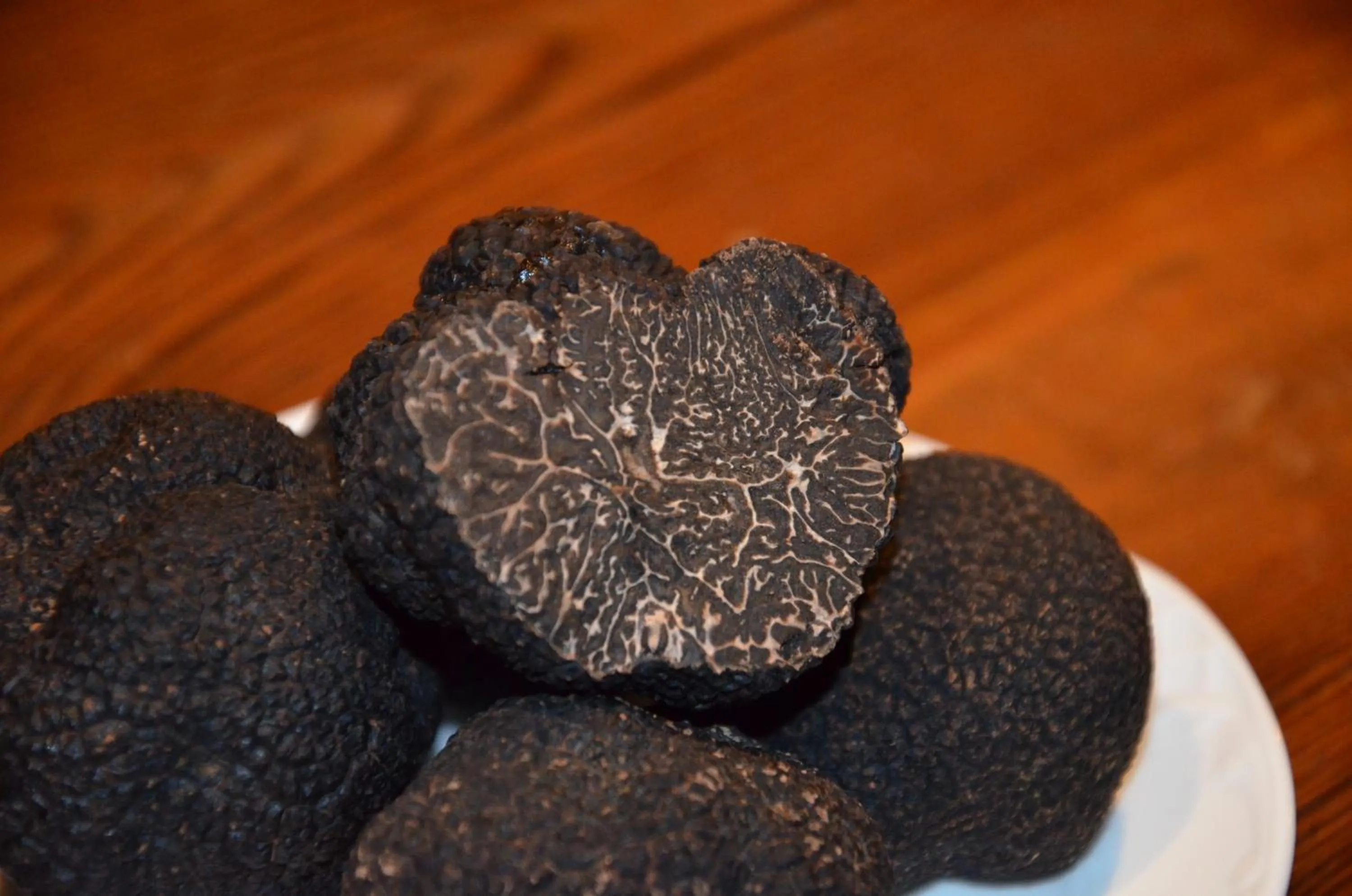 Food and drinks in Hotel Los Leones - Adults Only