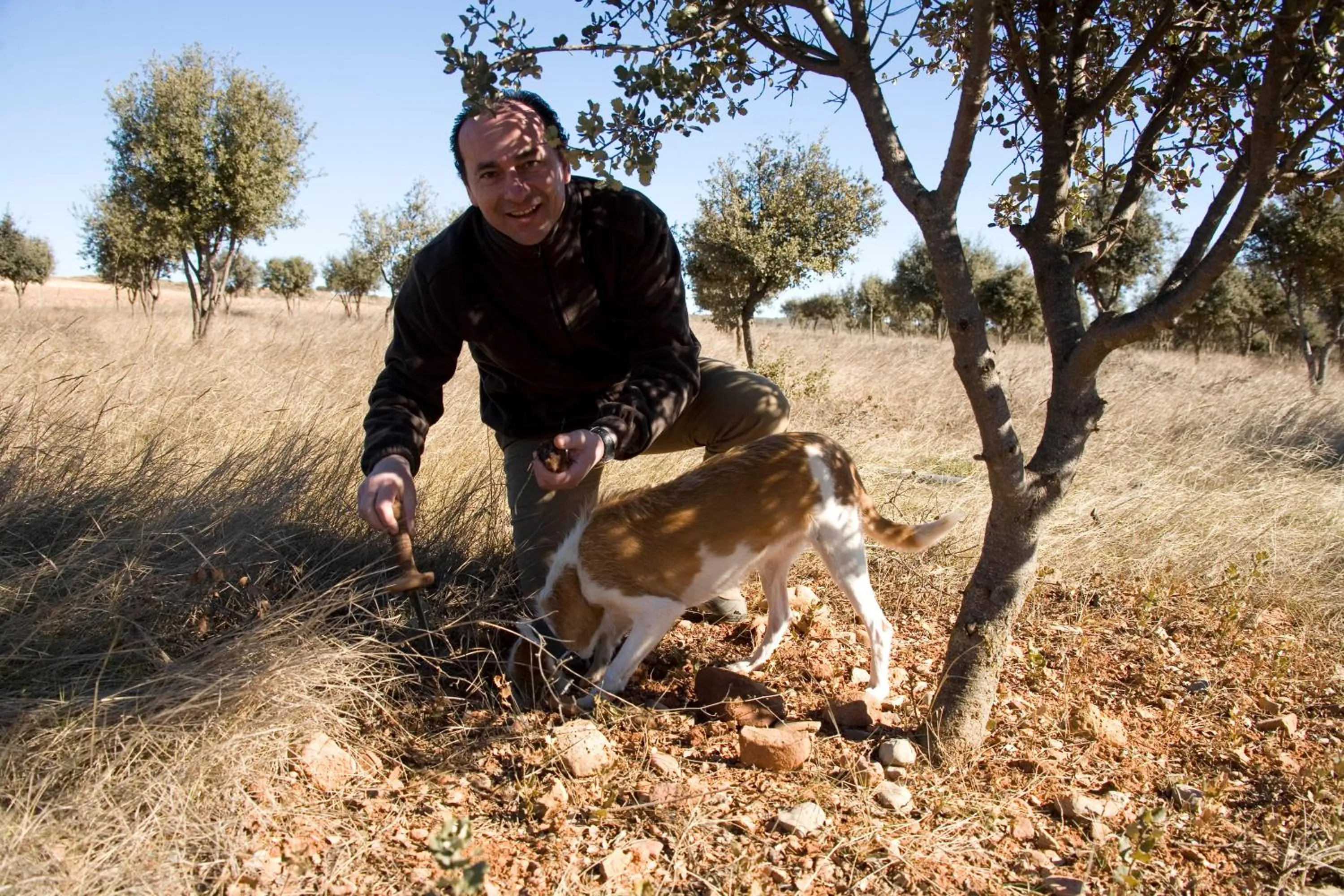 Hotel Los Leones - Adults Only