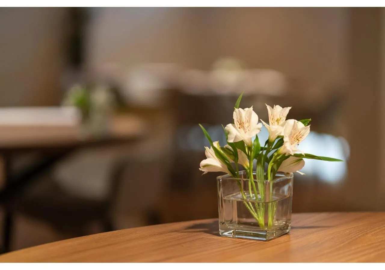 Restaurant/places to eat in Phi Hotel Canalgrande