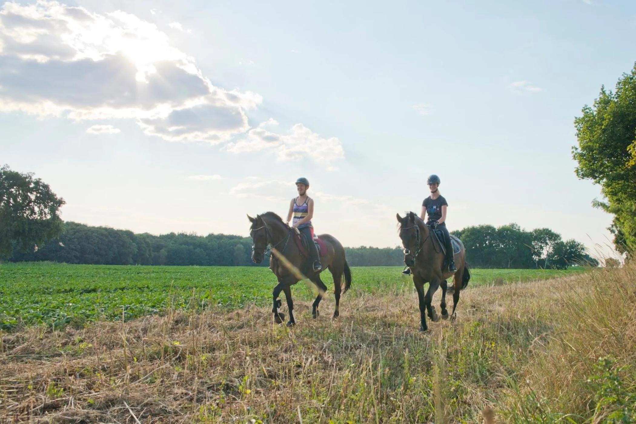 Day in Romantik Hotel Gutshaus Ludorf