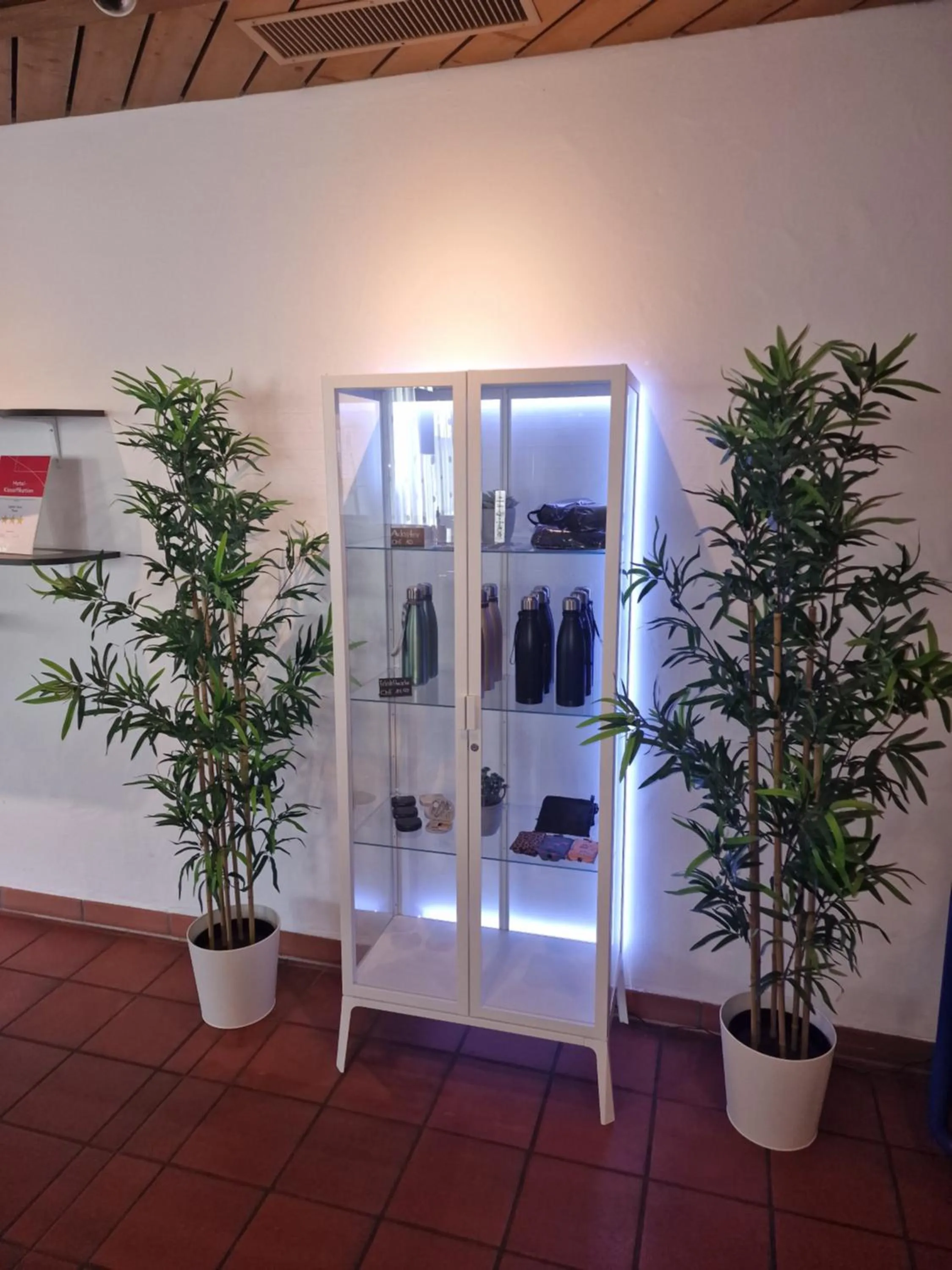 Area and facilities in Hotel Alpha Thun