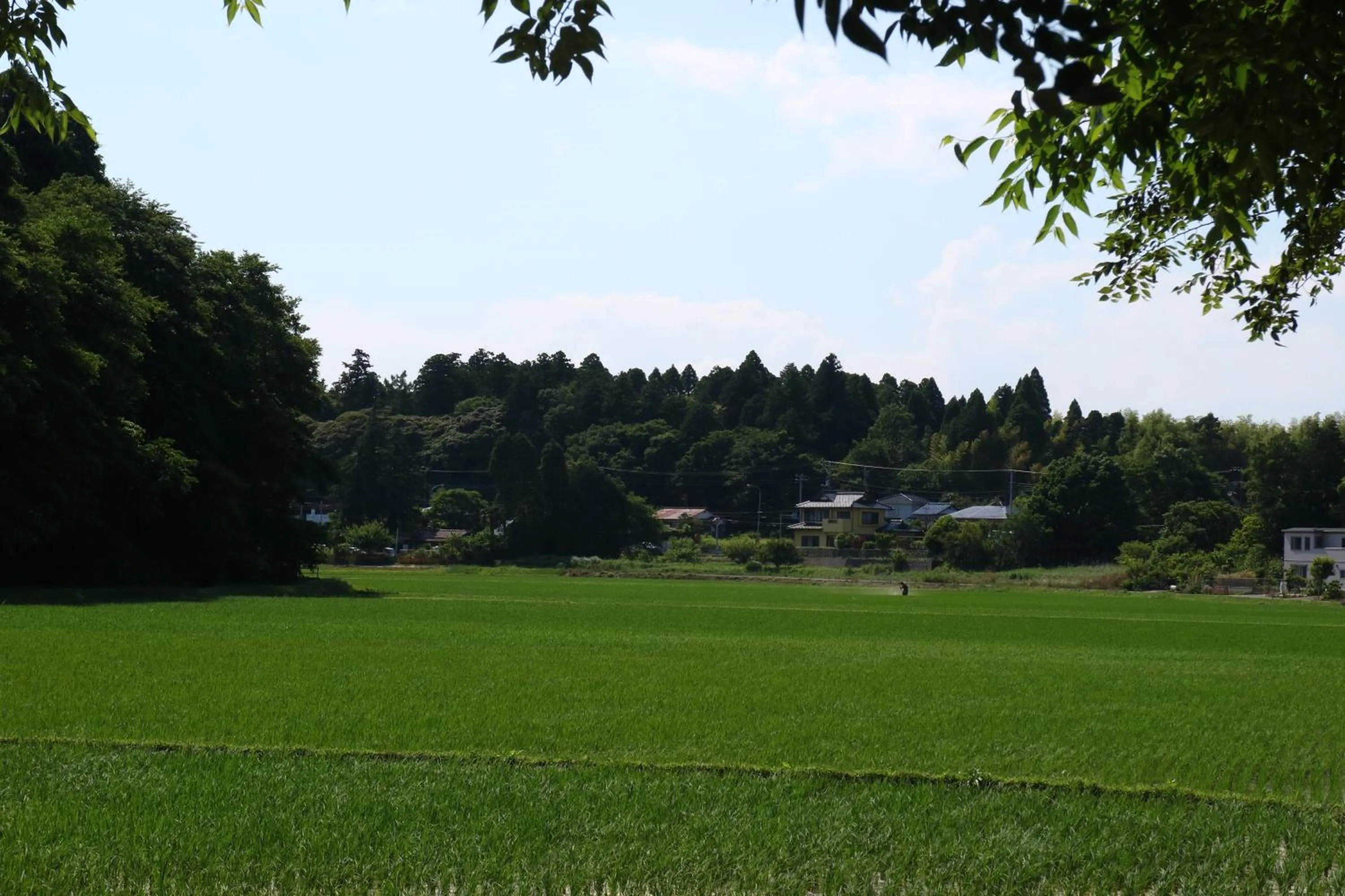 Property building in Hotel New Otani