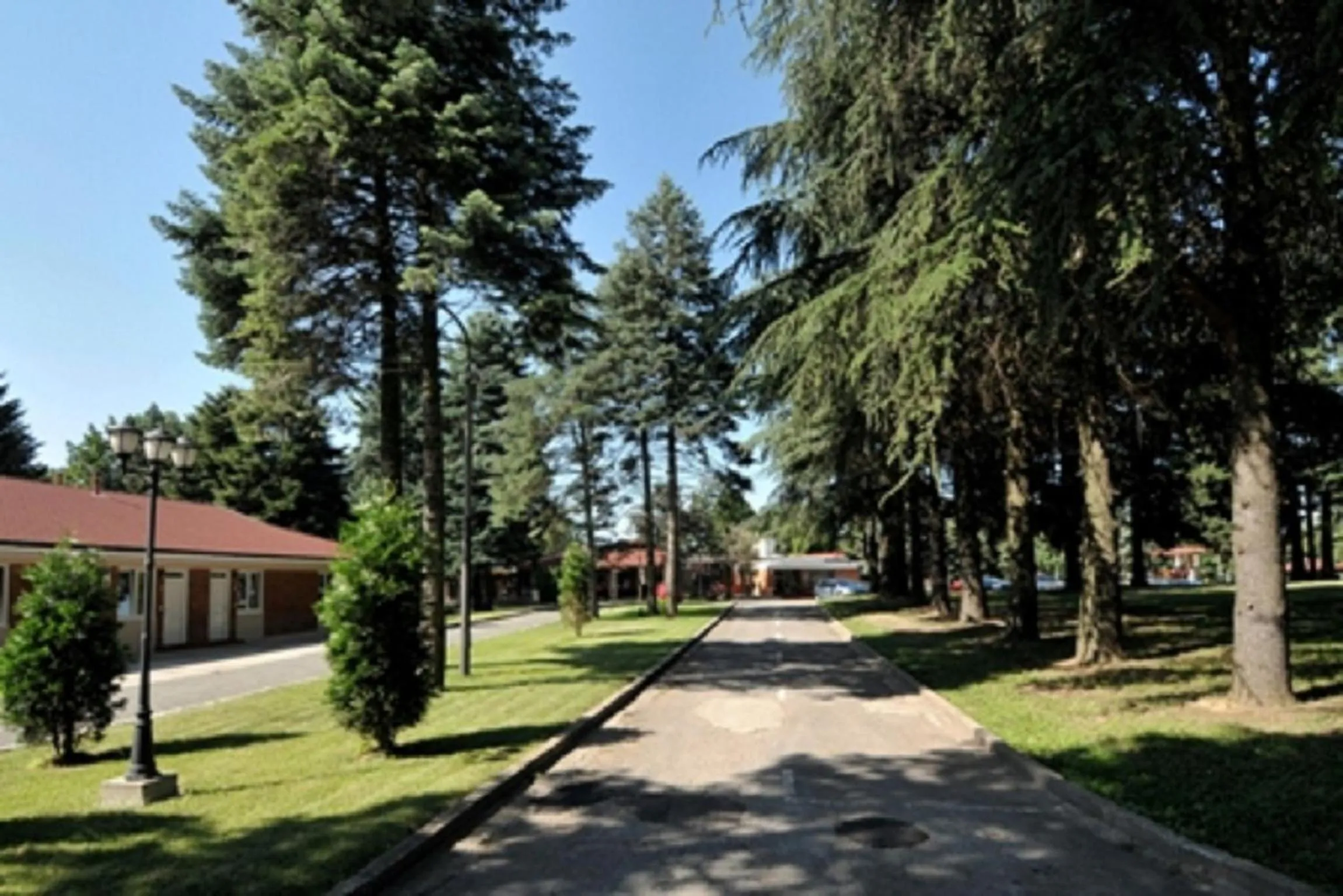 Garden in Hotel 1000 Ruza