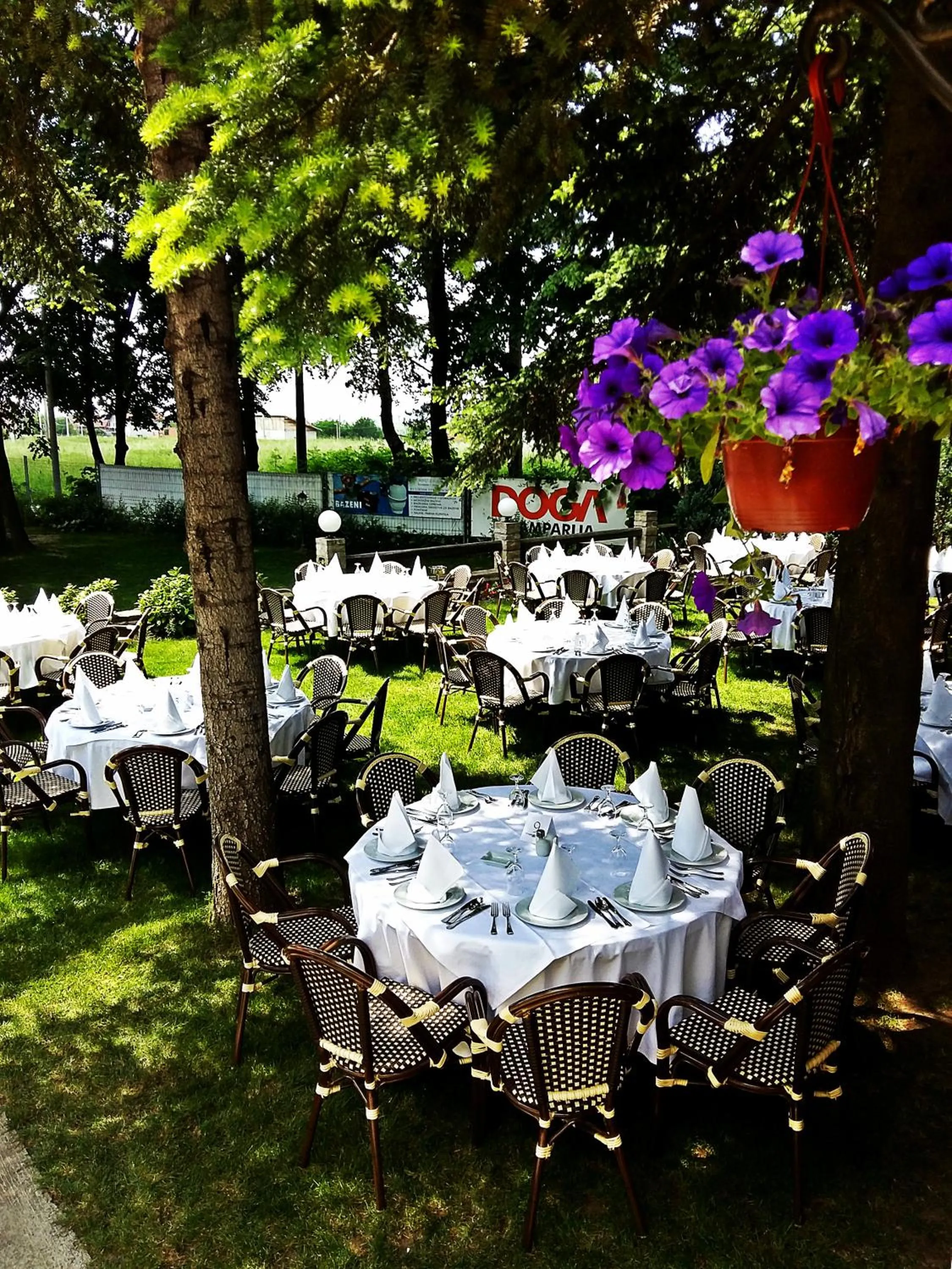 Garden in Hotel 1000 Ruza