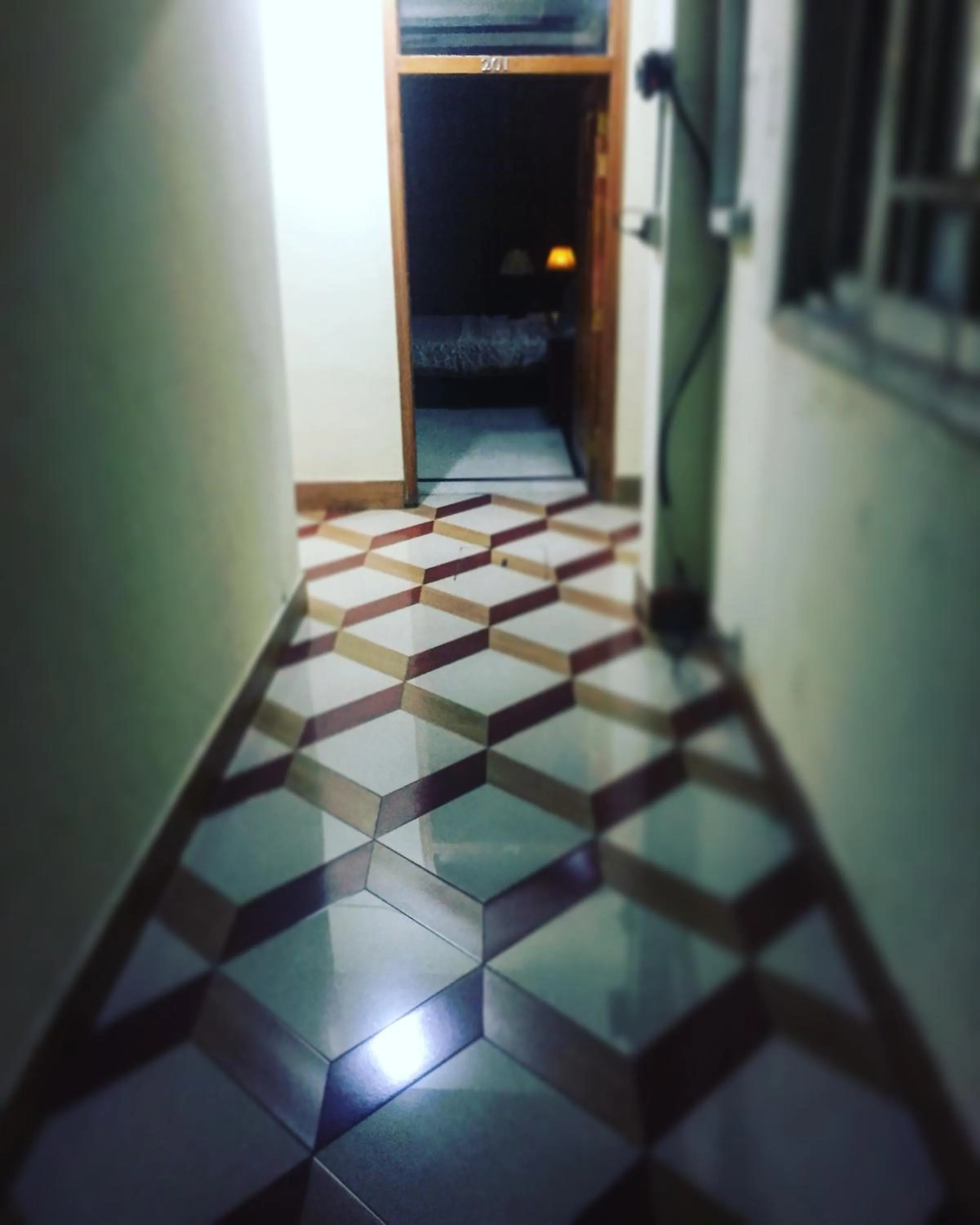 Decorative detail in Muzaffarabad View Motel