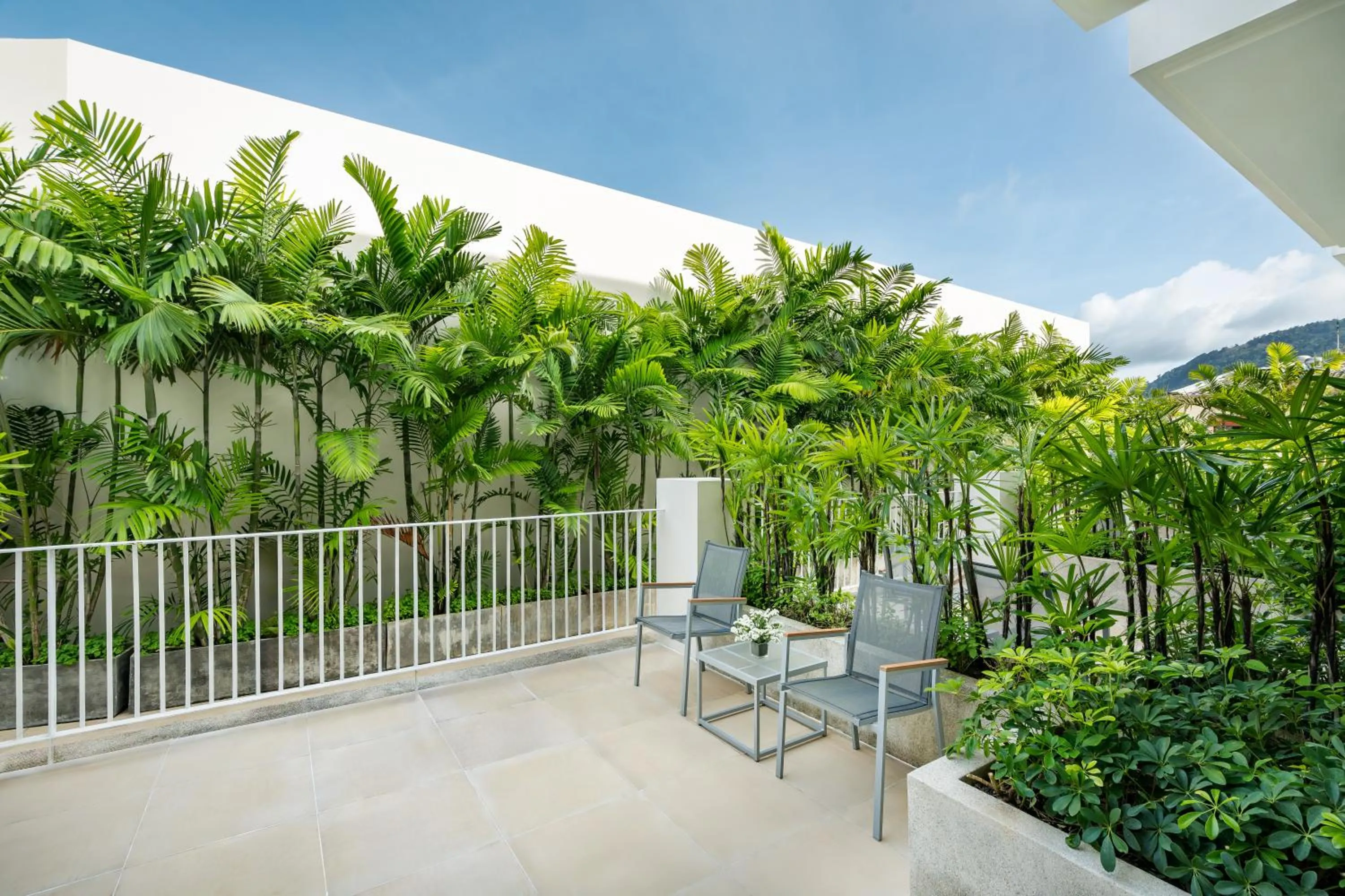 Garden view in M Social Hotel Phuket