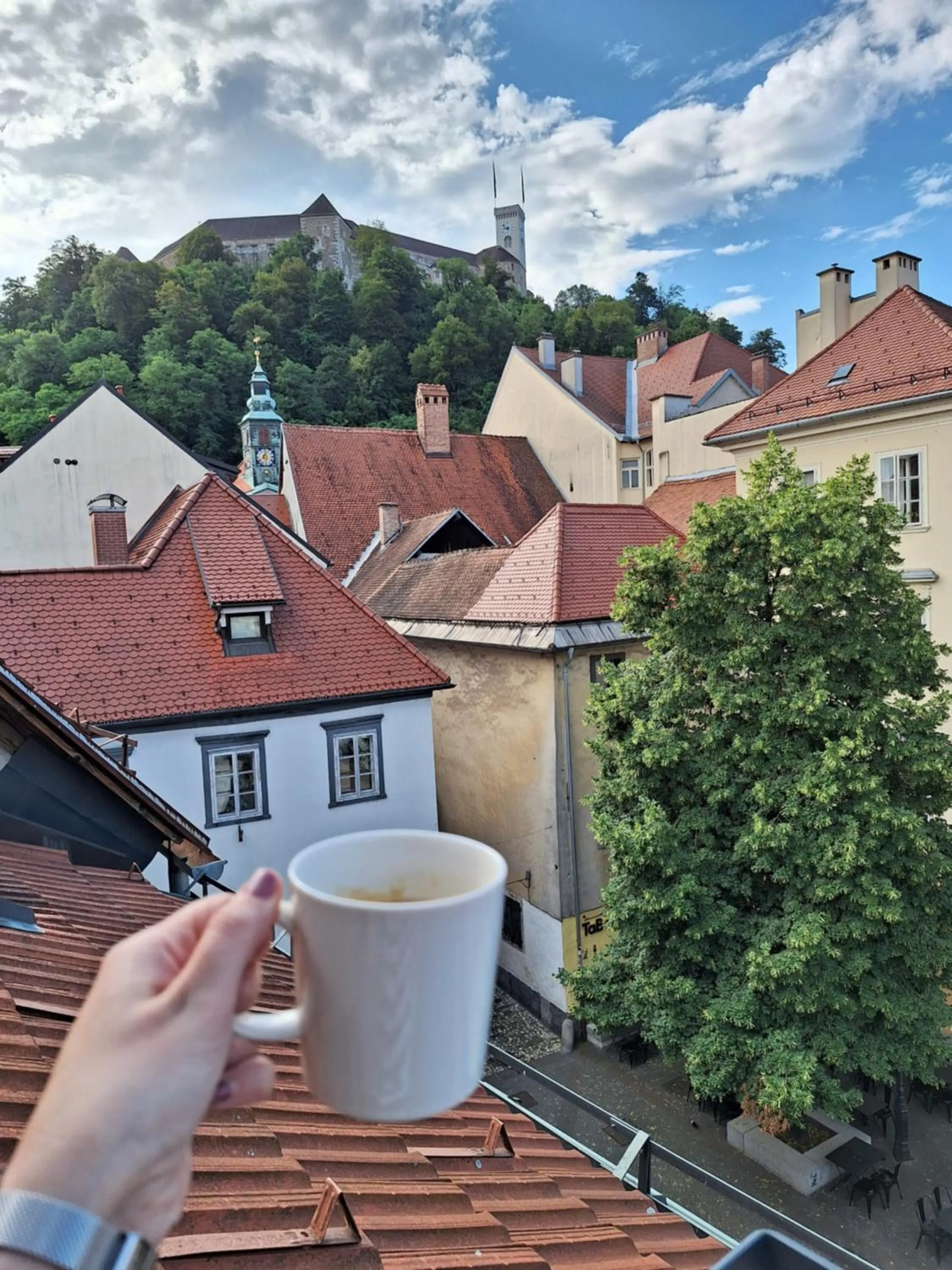 Natural landscape in Tromostovje apartments